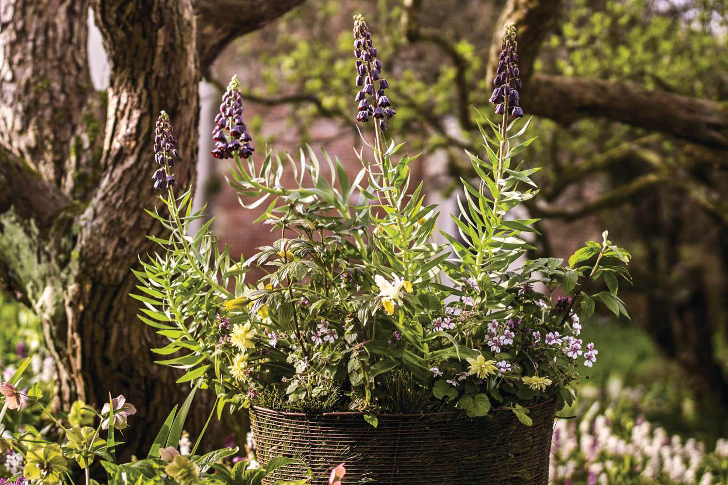 An outdoor container of spring plants