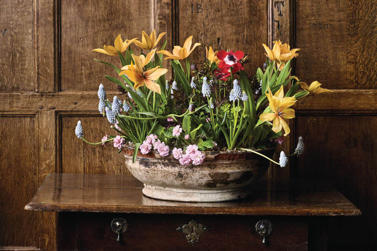A colourful spring planter