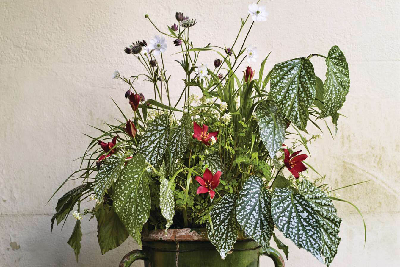 A green container with a spring planting combination