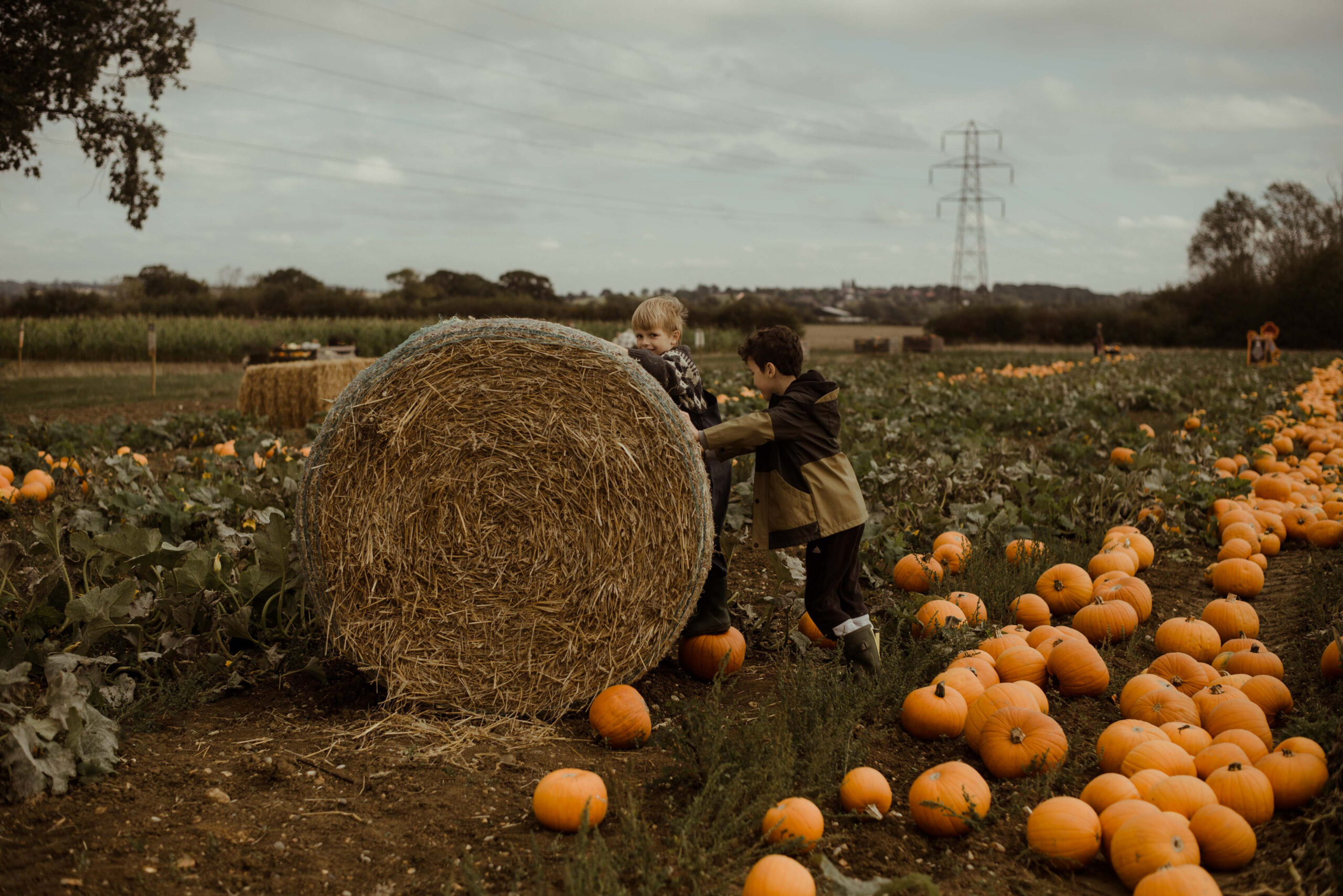 Children playing at Foxes Farm Produce Colchester pumpkin patch