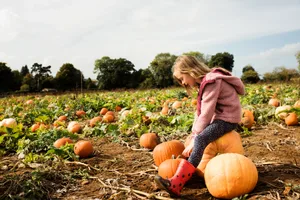 Girl sat on a large pumpkin in a pumpkin field in the countryside Girl sat on a large pumpkin in a pumpkin field in the countryside
