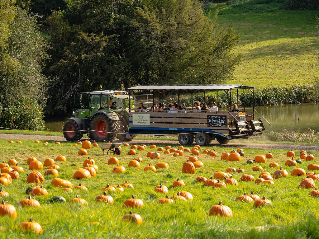People in tractor trailer during pumpkin picking event