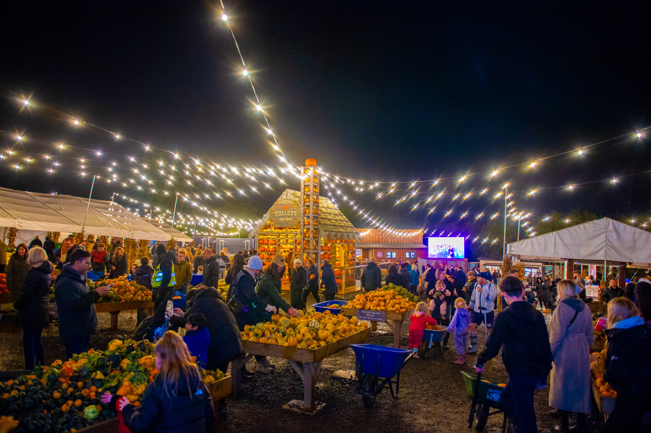 People at after-dark pumpkin picking event