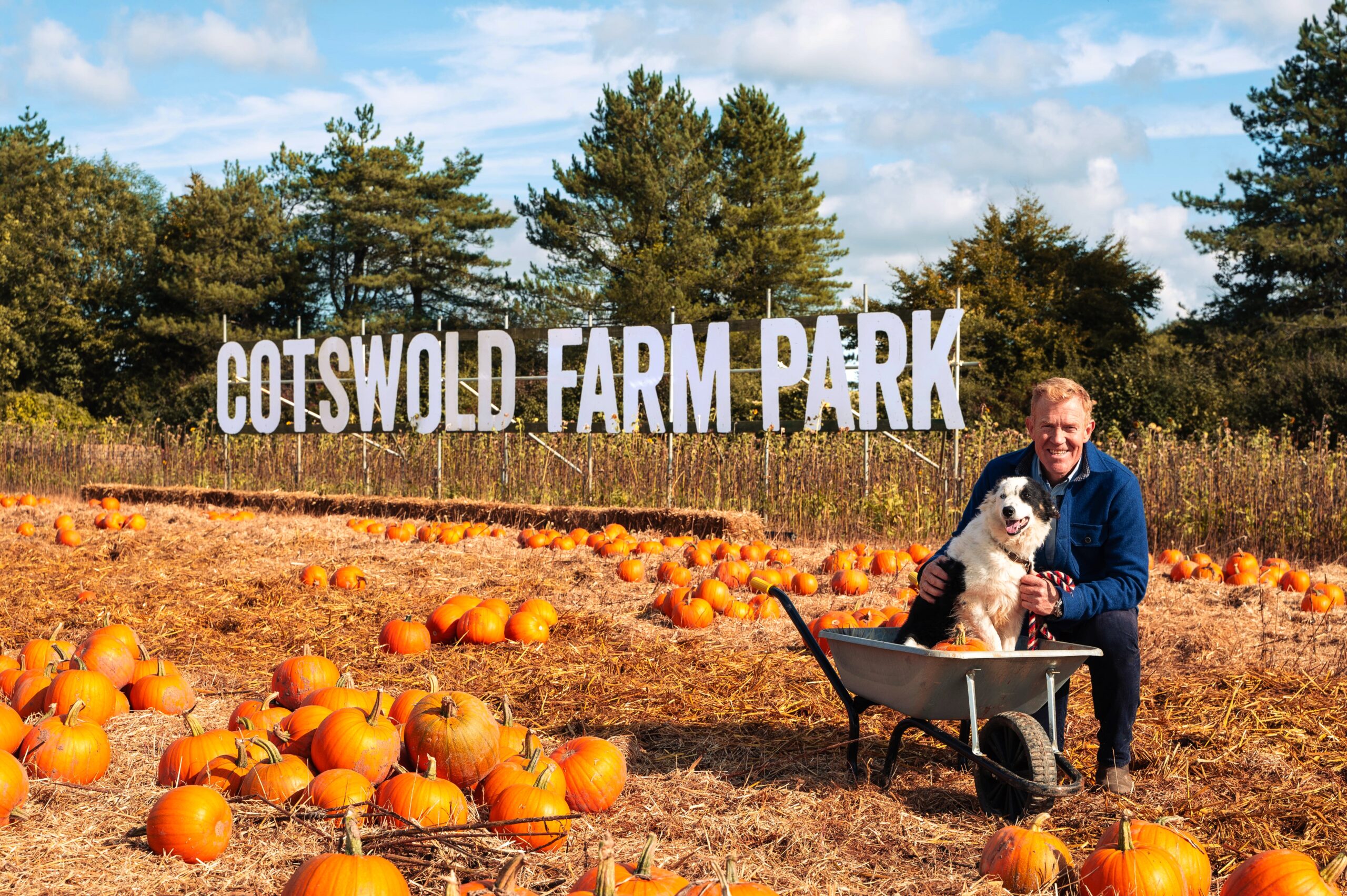 Cotswold Farm Park's Adam Henson at their pumpkin patch with Gwen the border collie