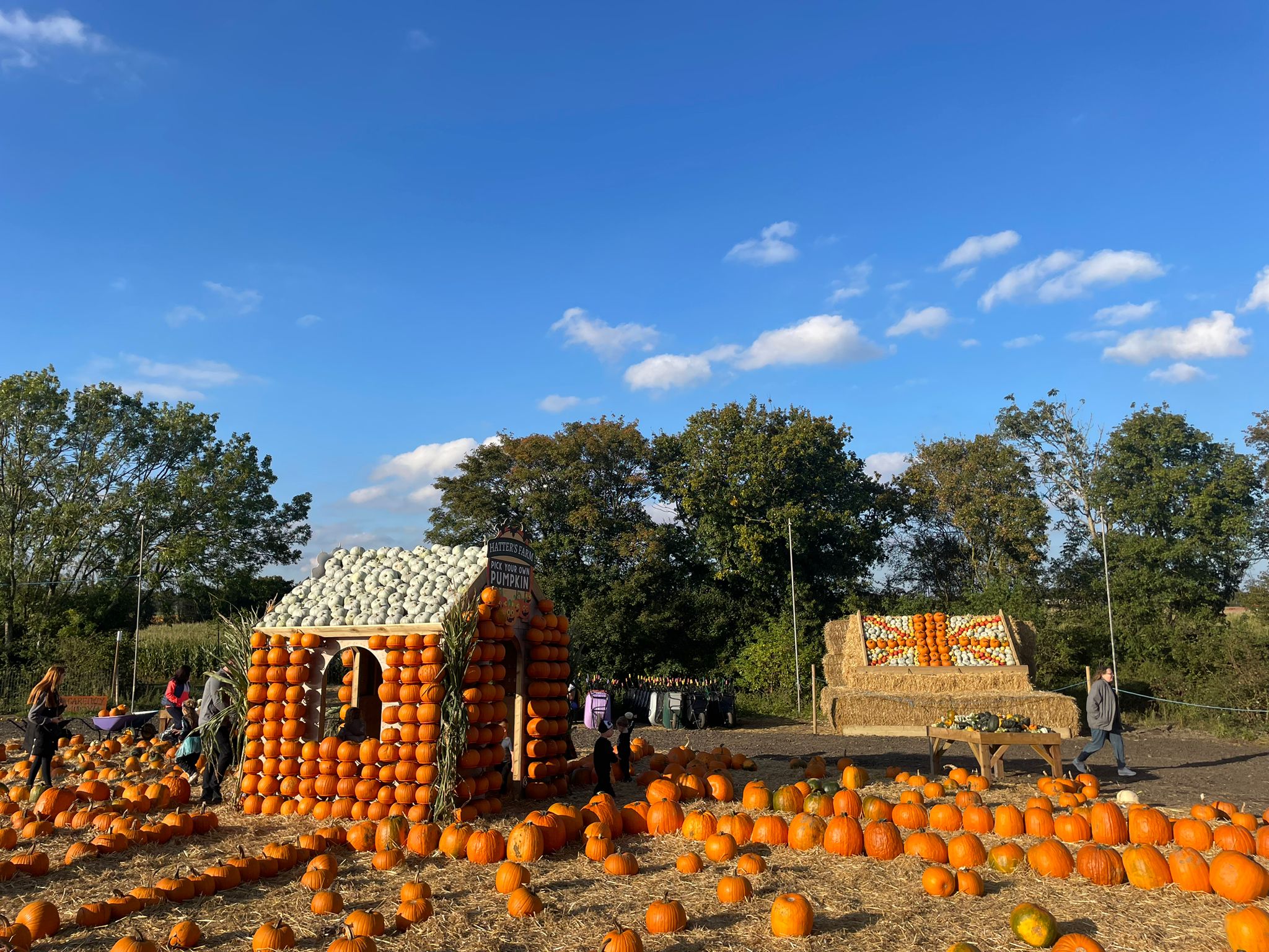 Pumpkin house and mosaic at pumpkin picking event