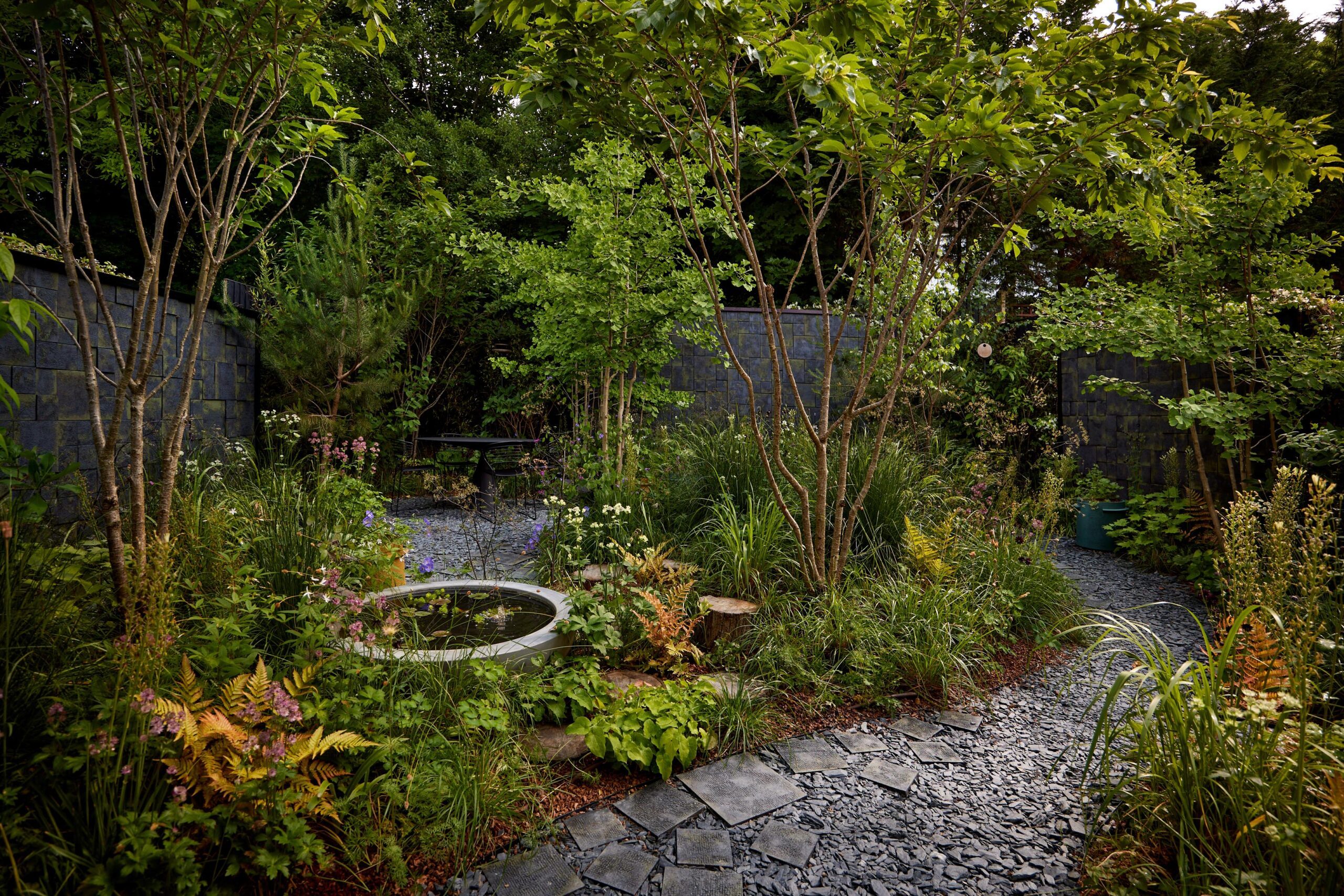 A South London project with 9 trees in 100sqm