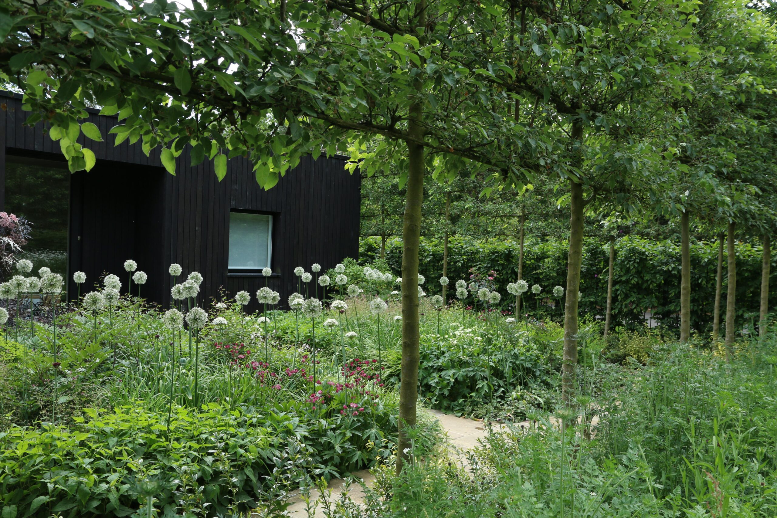 003 Gate house with the black extension for robust ecosystem and layered planting from Stefano Marinaz's designs.