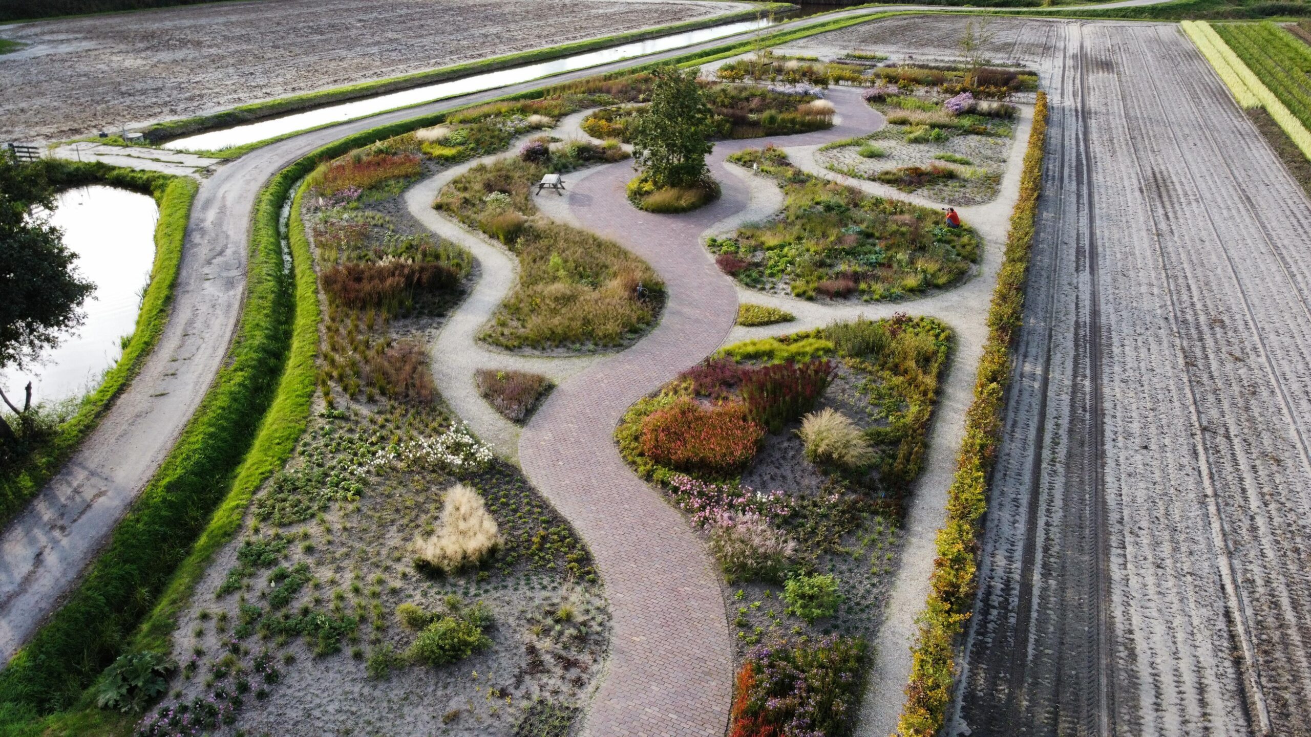 Pictures from our new project in Lisse (NL) for Future Plants nursery where we designed the whole masterplan and some planting as shown in the sandy trial beds.