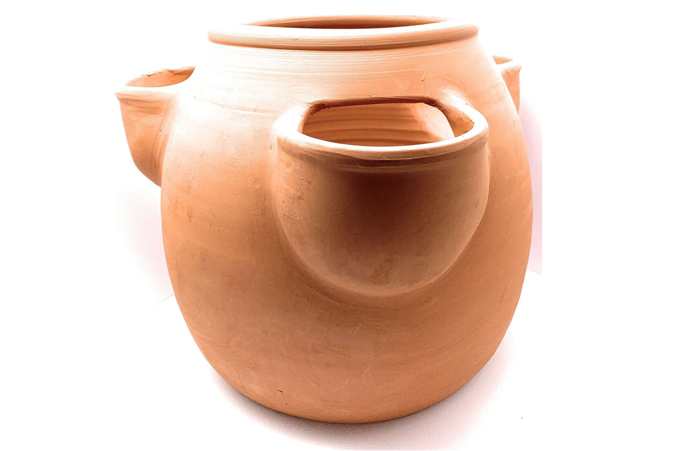 Large Terracotta Strawberry Planter on a white background