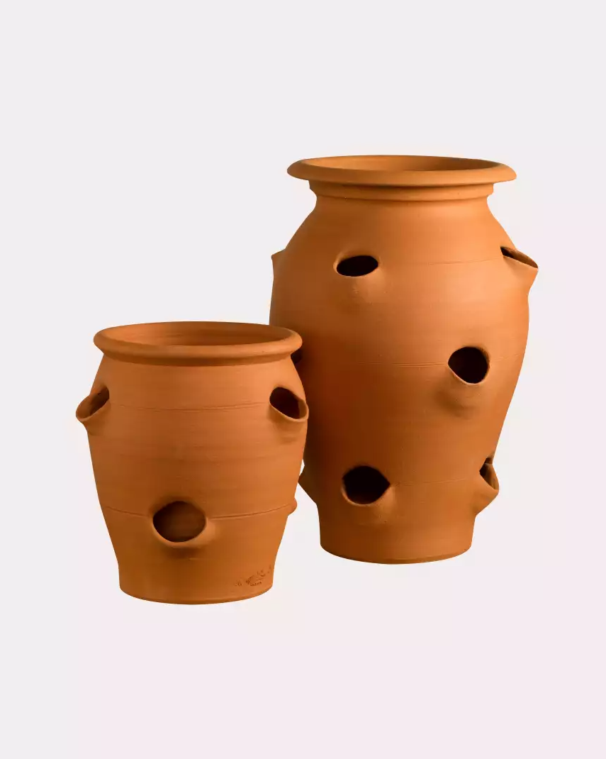 Strawberry barrels
