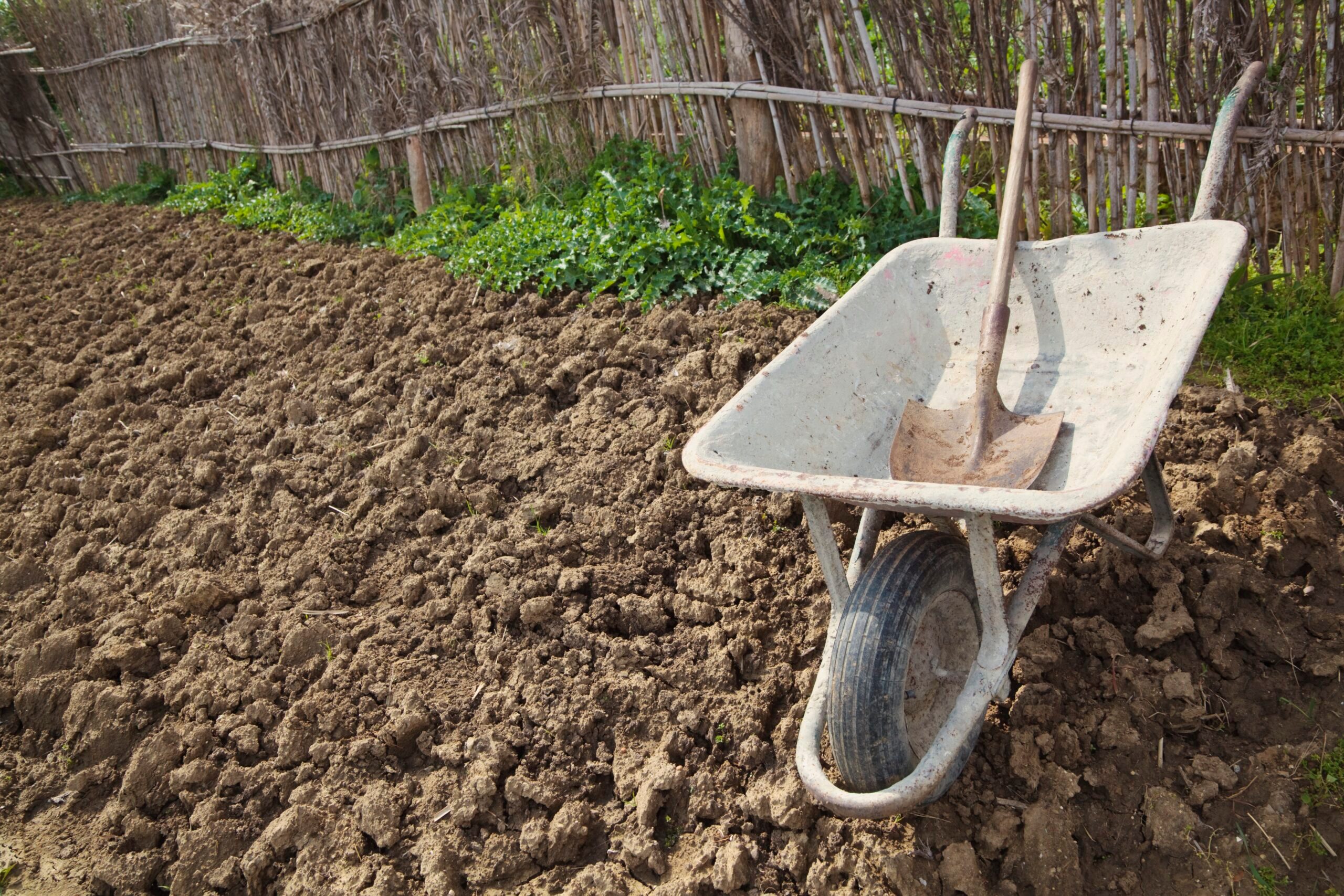 Wheelbarrow and Shovel