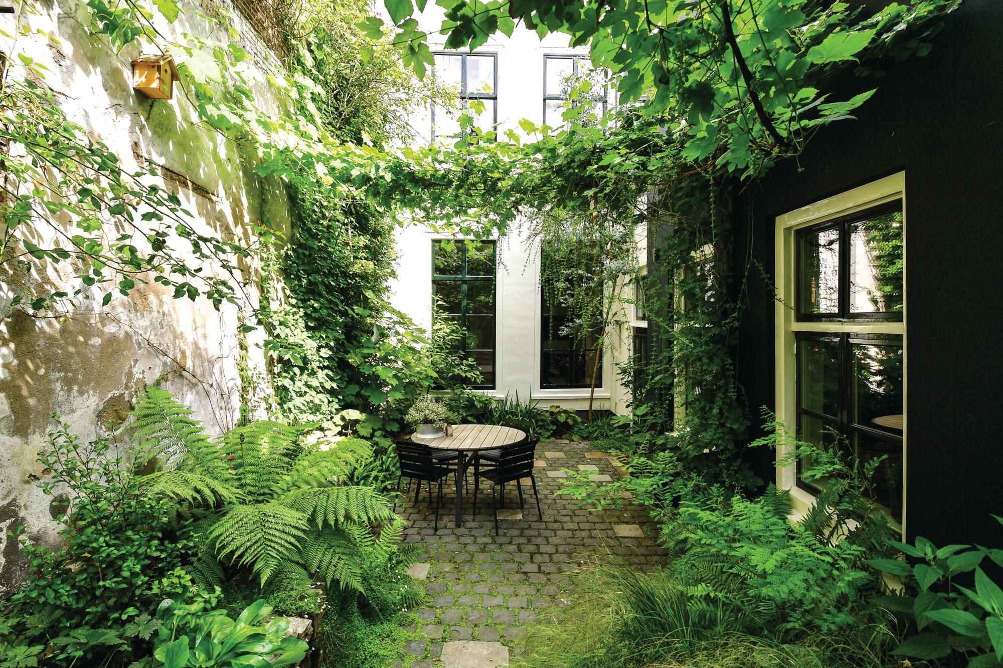 Green garden terrace with table and chairs