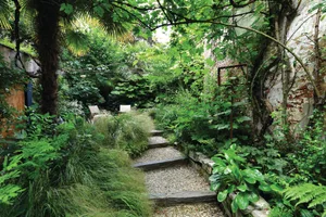 Erik Funnerman garden in Utrecht Green lush garden with steps and chairs