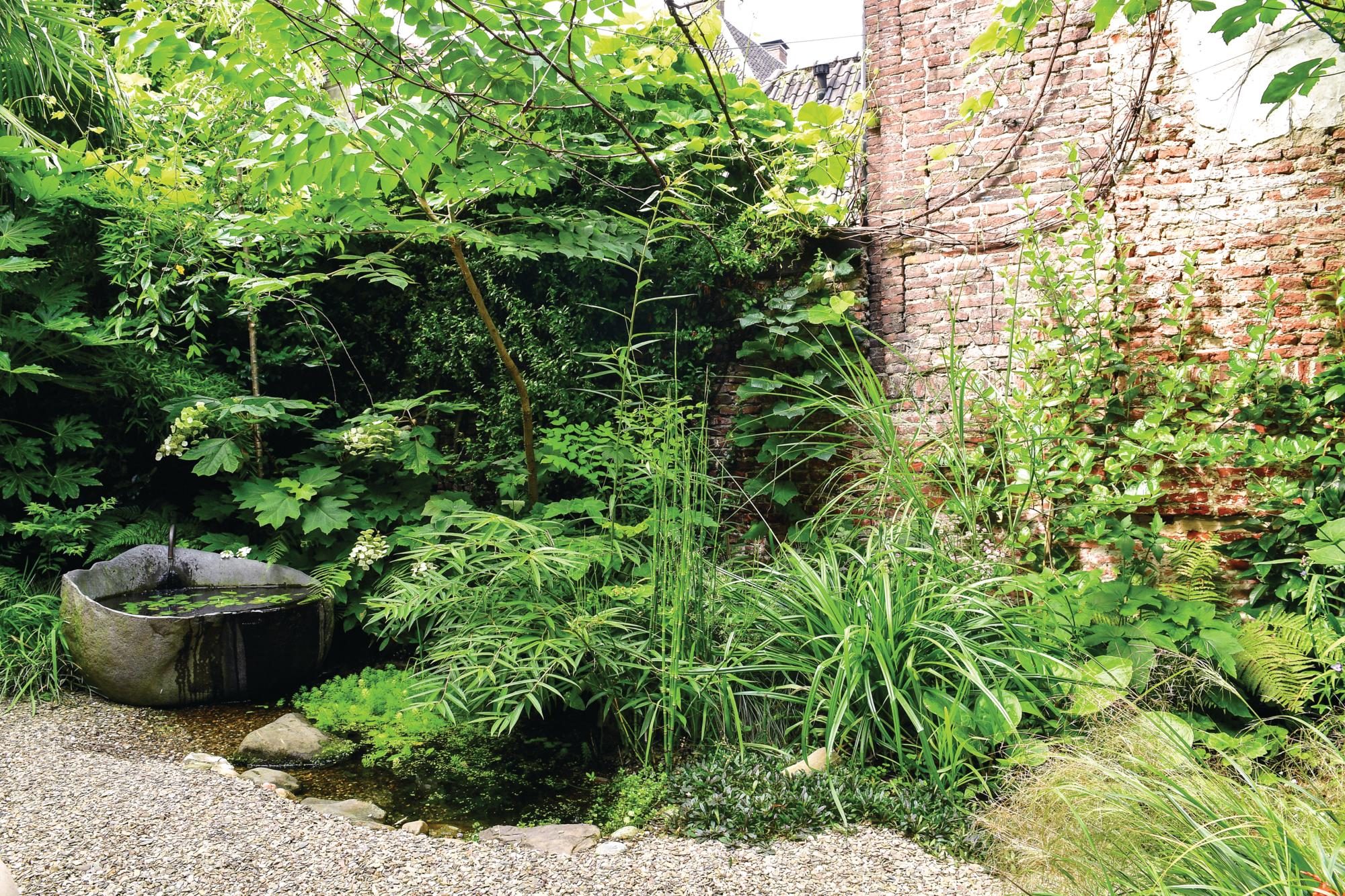 Green garden with raised pond