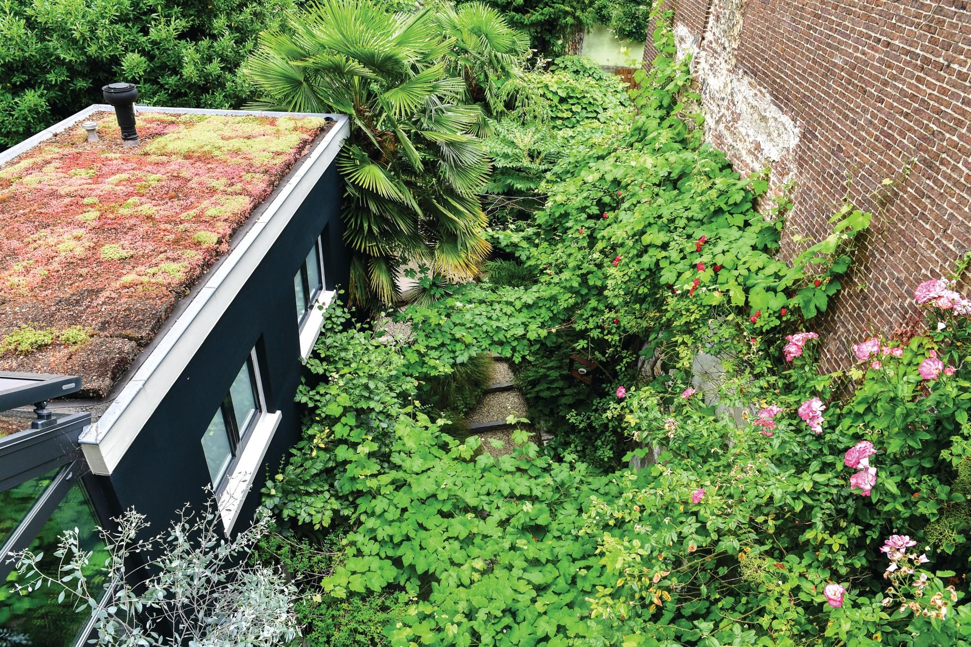 Garden with green roof on a building