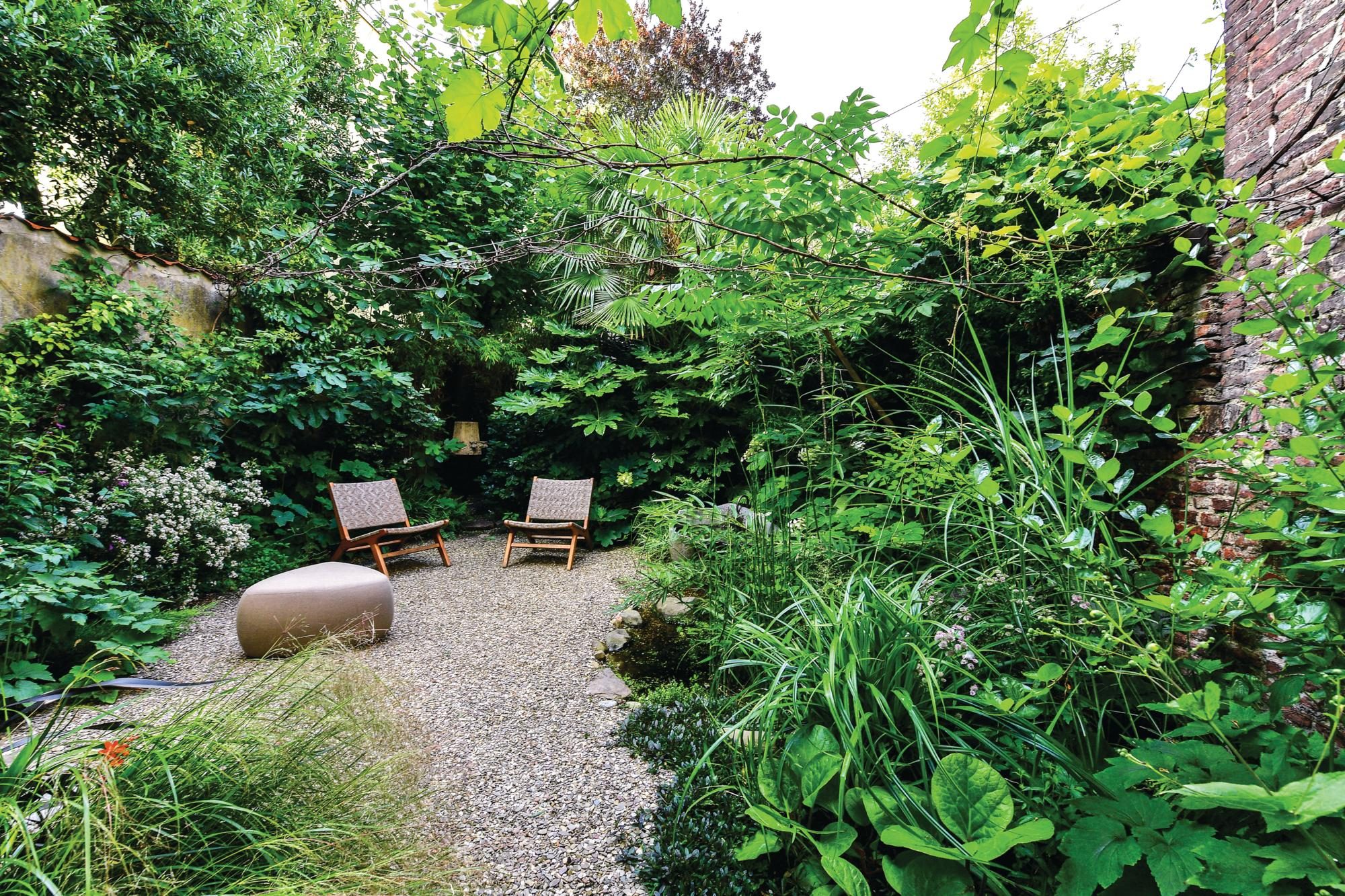 Garden with gravel path and green foliage and chairs