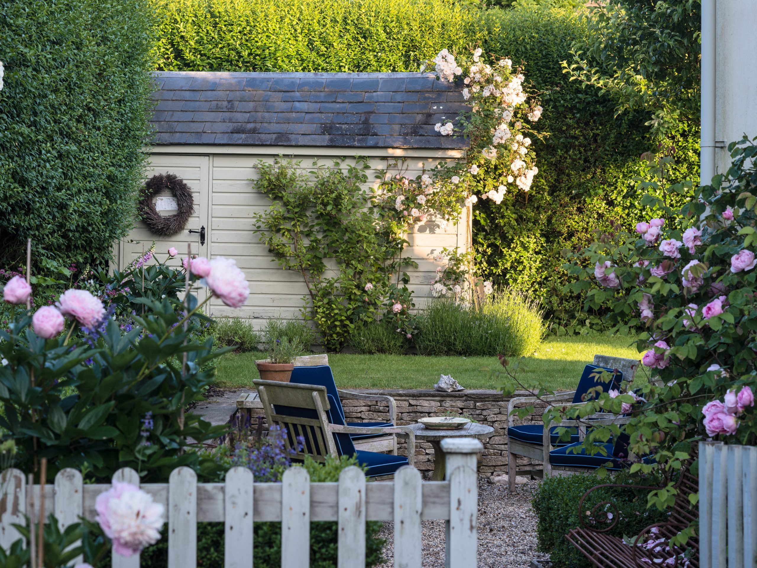 Wooden shed in country garden with peonies and roses