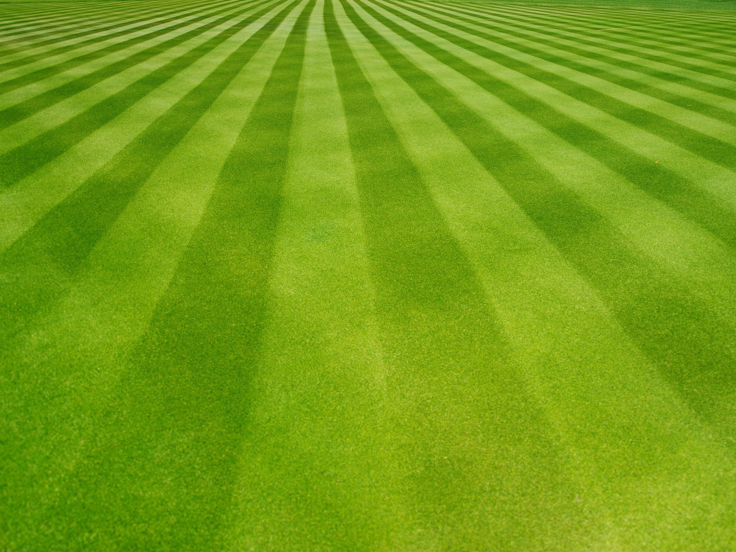 Perfectly striped freshly mowed garden lawn in summer