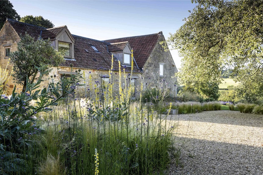 In the sunny gravel garden situated to the front of the house, plants suited to the hot, dry conditions, including Verbena bonariensis, Erigeron karvinskianus, Oenothera stricta, the grass Stipa tenuissima, fennel and verbascums, are allowed to self-seed freely.