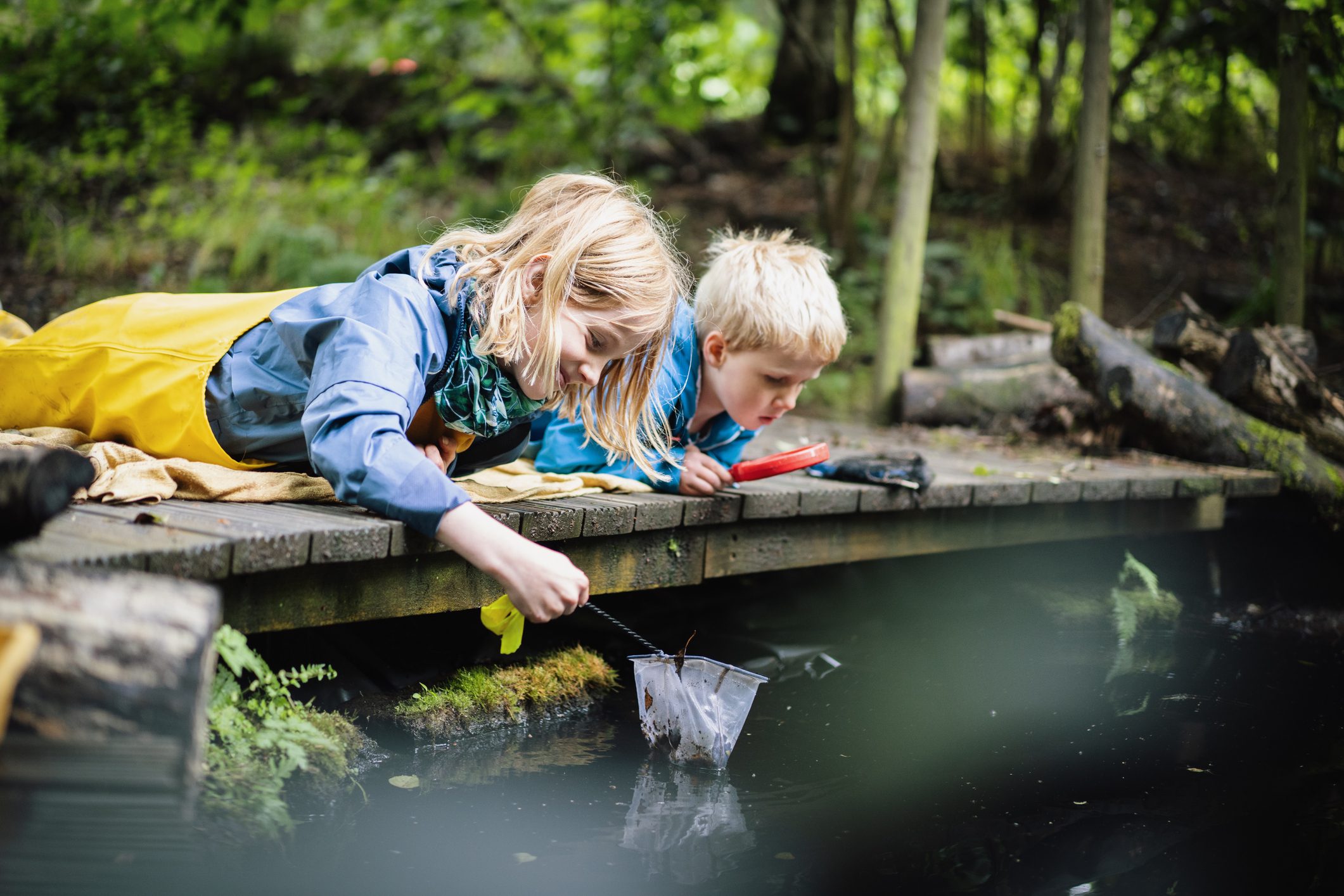 Two brothers pond dipping at forest school