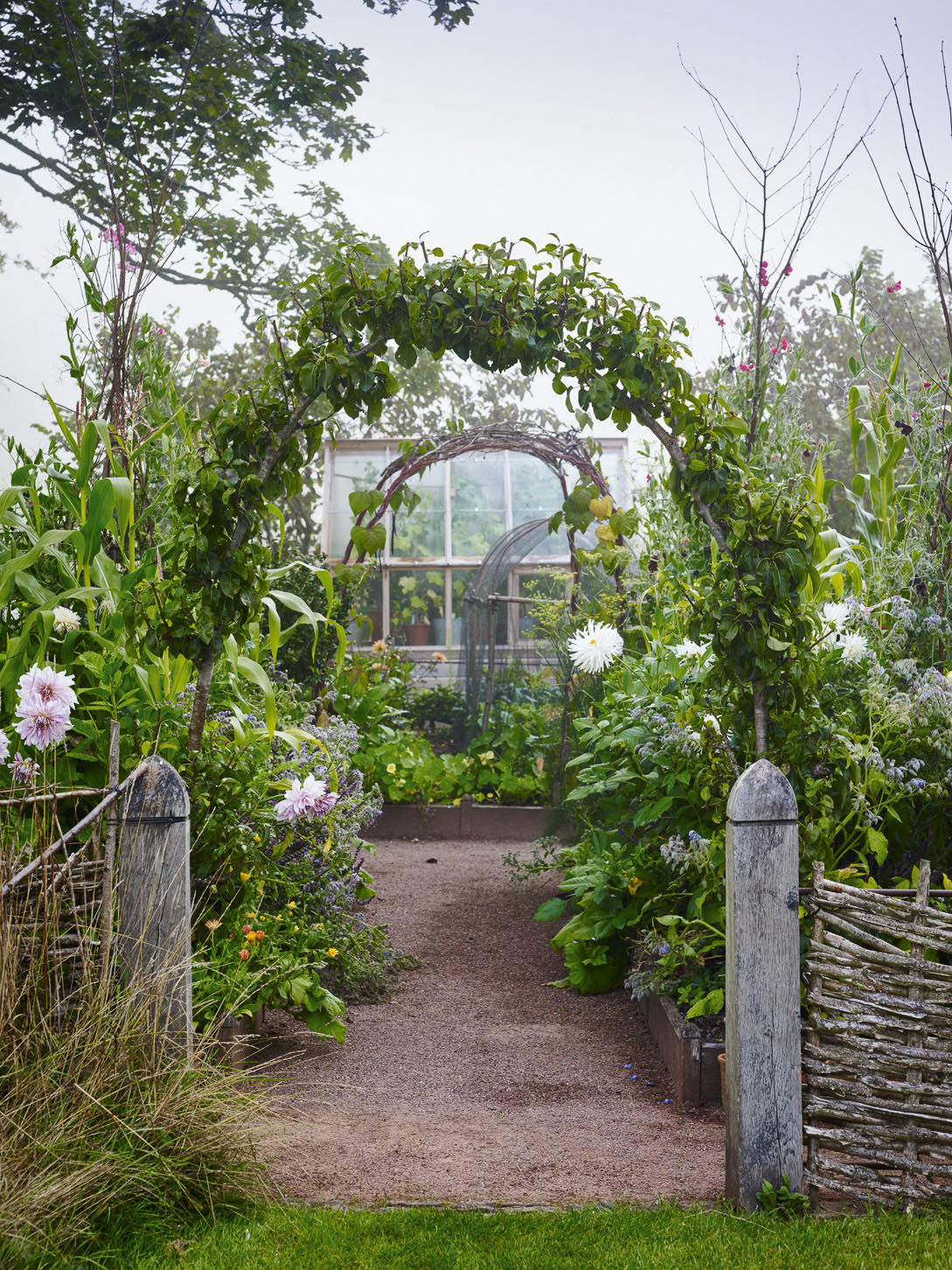 Allt-y-bela - Arne Maynard