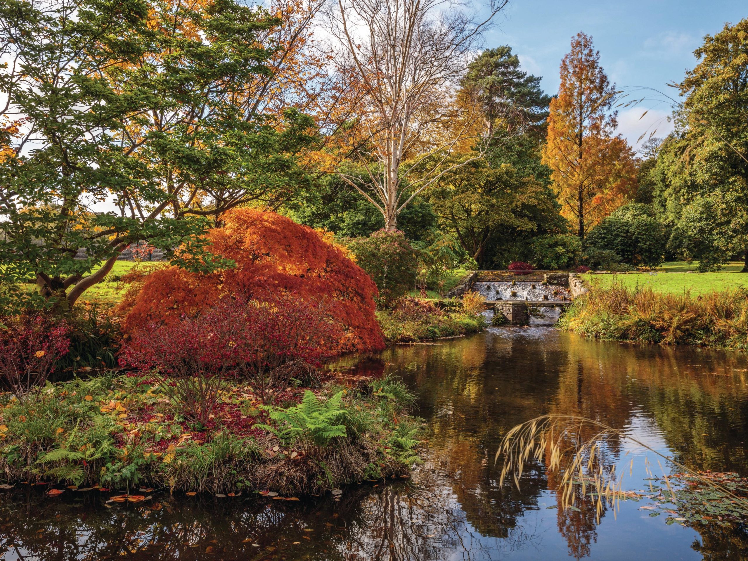 Garden pond and trees with autumn colours