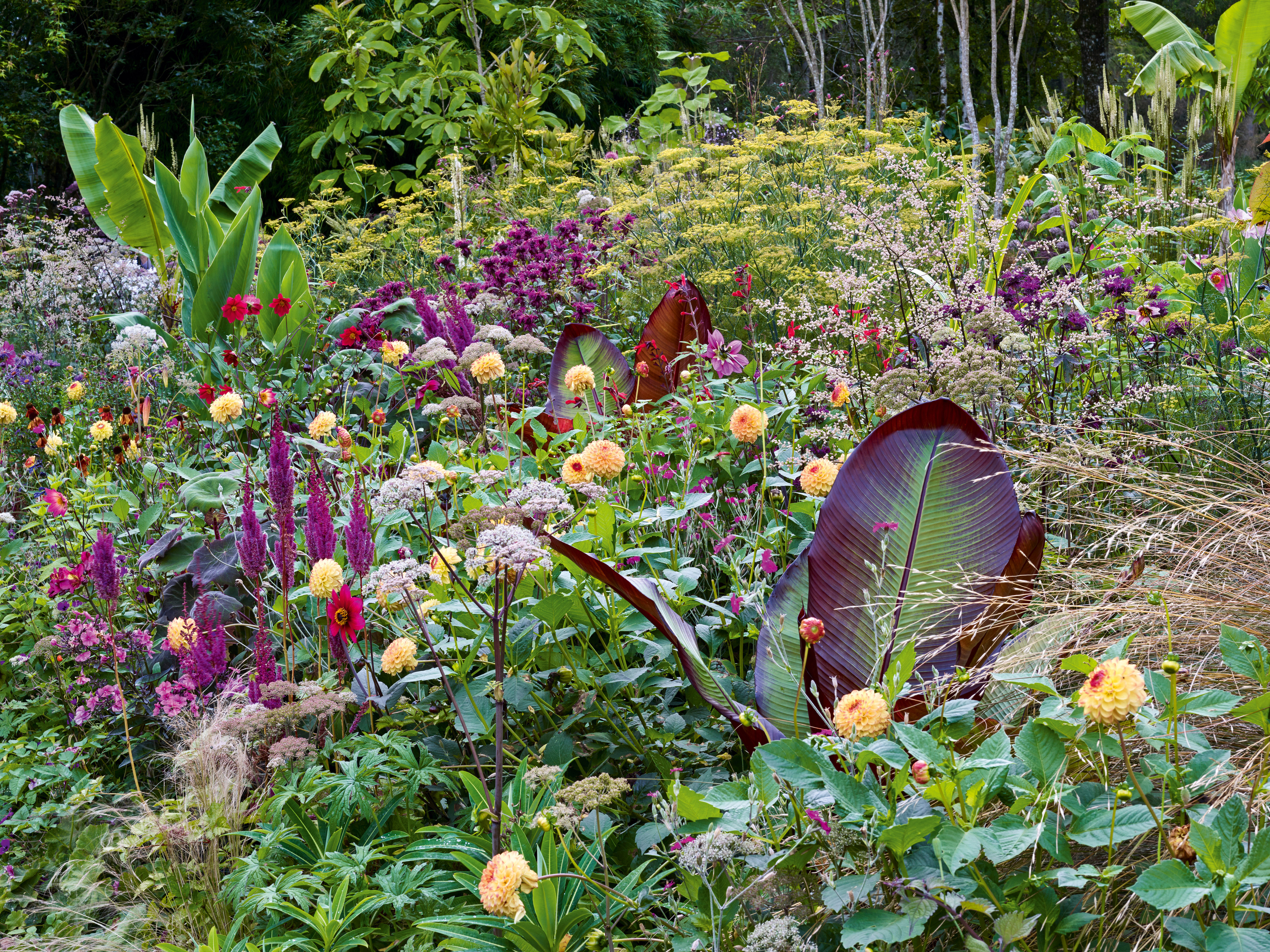 Hunting Brook Gardens