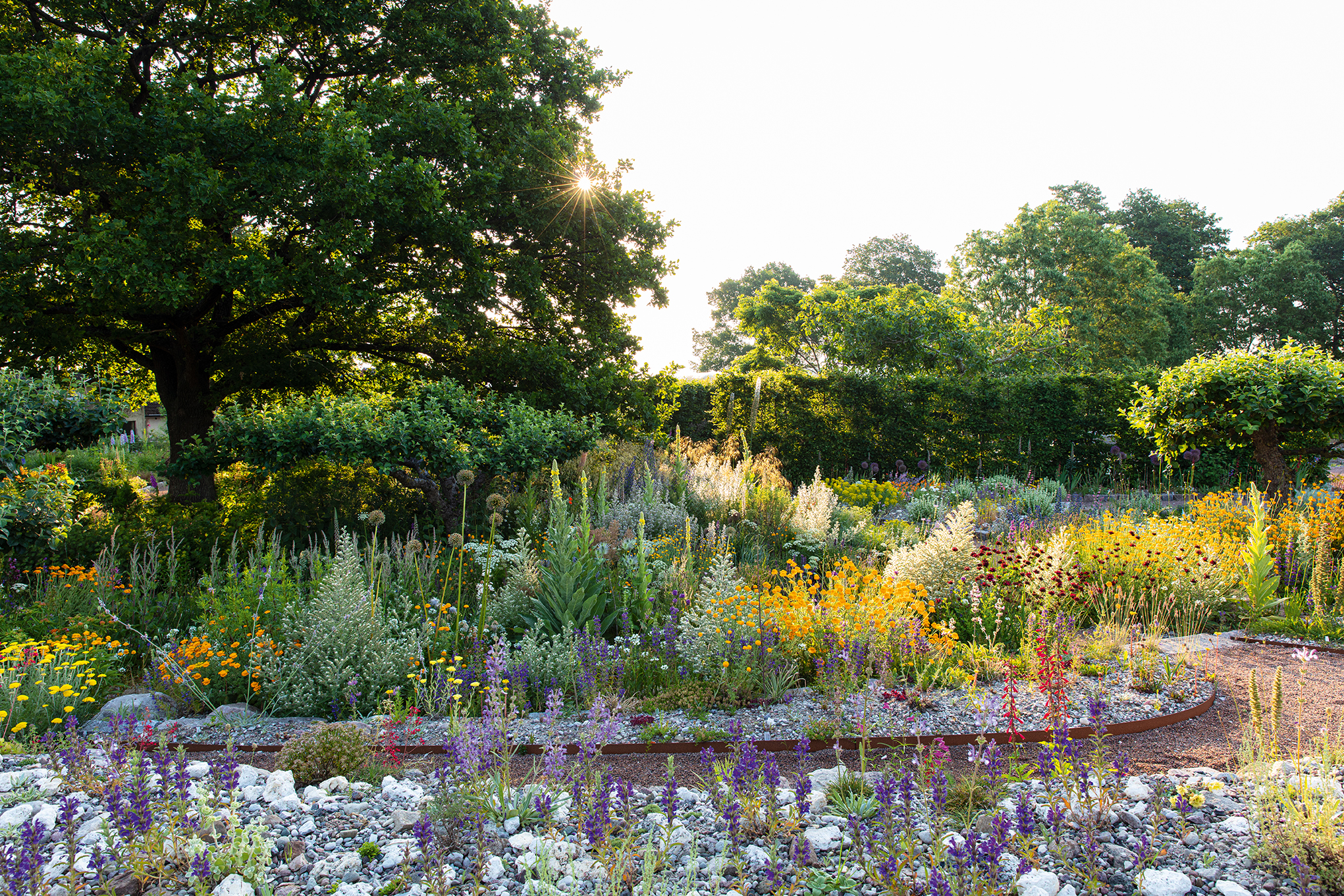 Peter Korn's new experimental garden