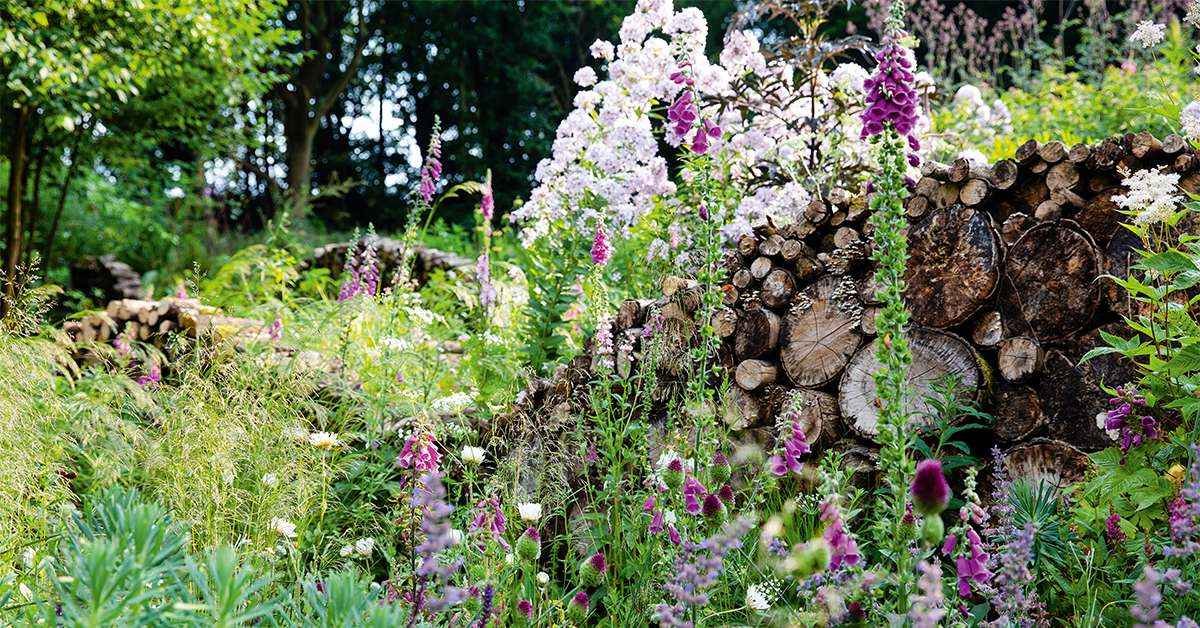 Nigel Dunnett’s own garden