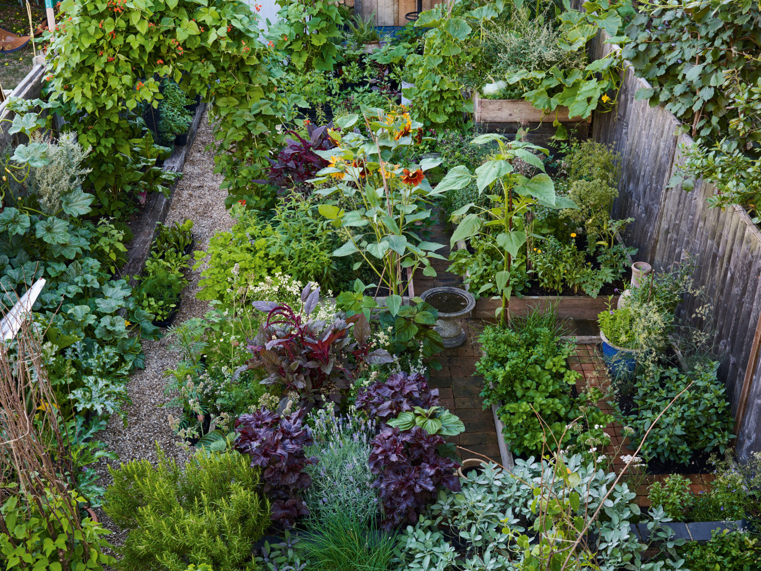 Anna Greenland's garden