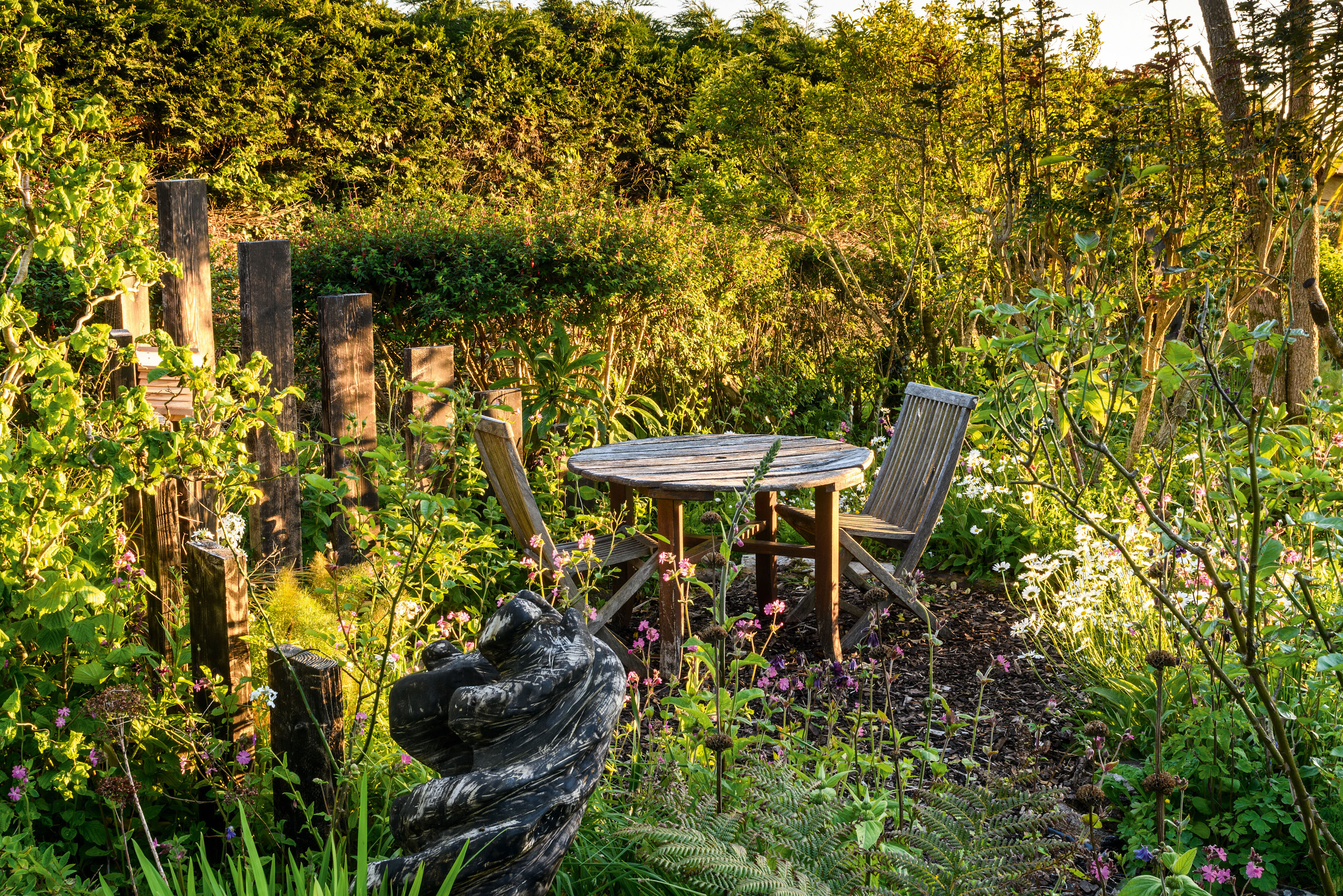 Sid Hill Forest Garden, Cornwall