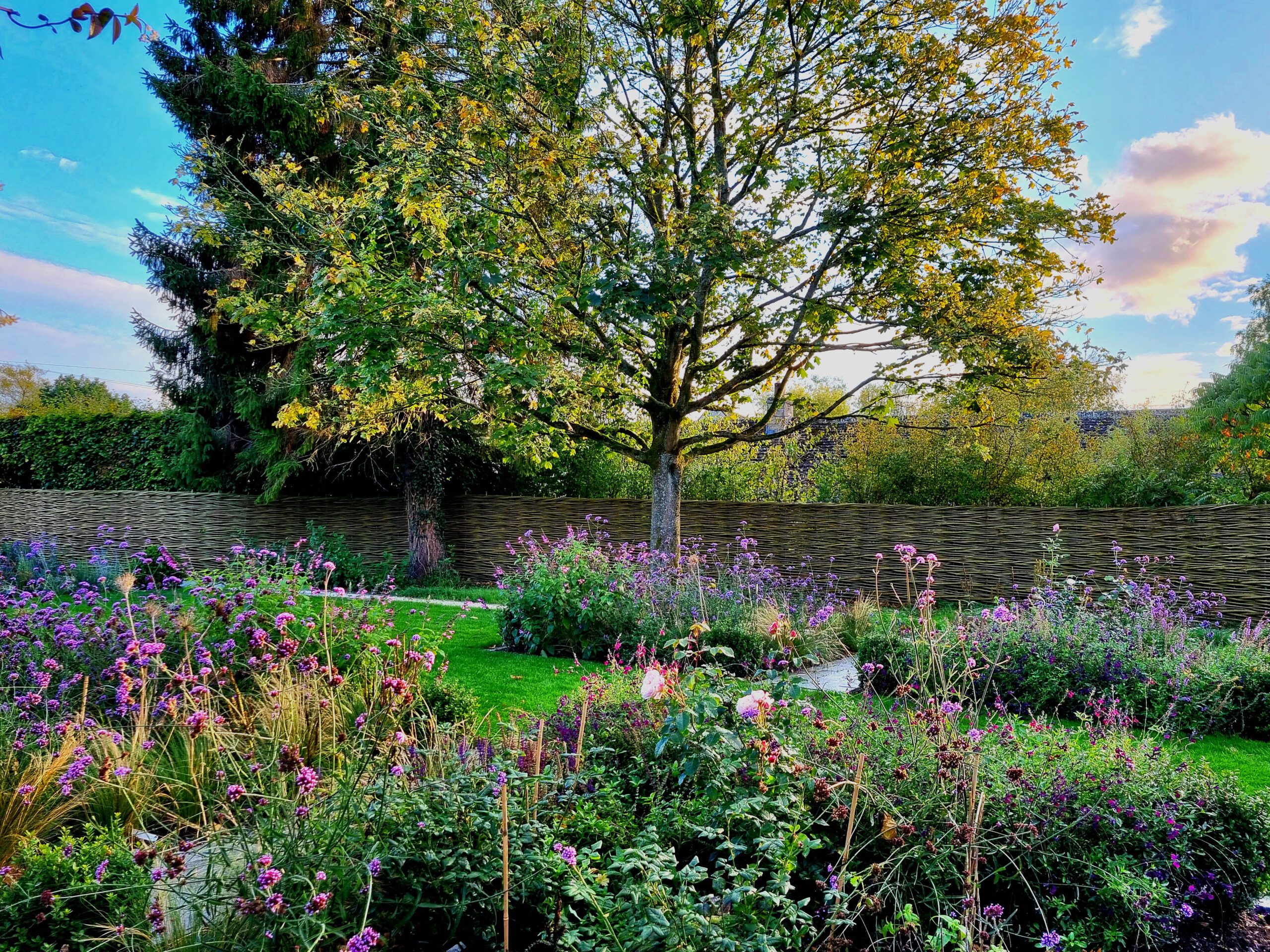 Garden designed by Emily Crowley-Wroe
