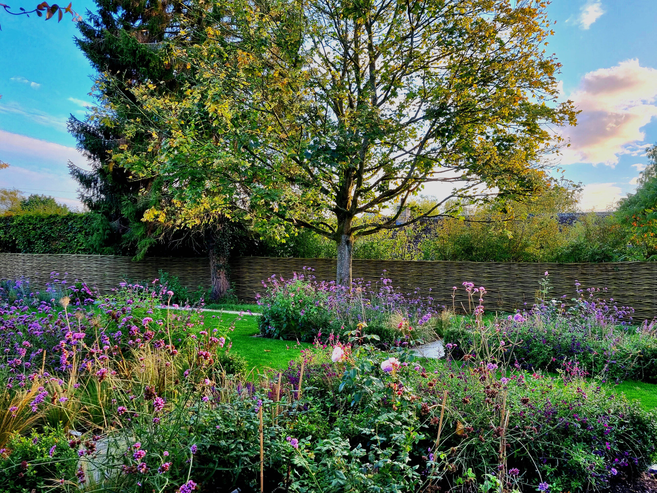 Garden designed by Emily Crowley-Wroe
