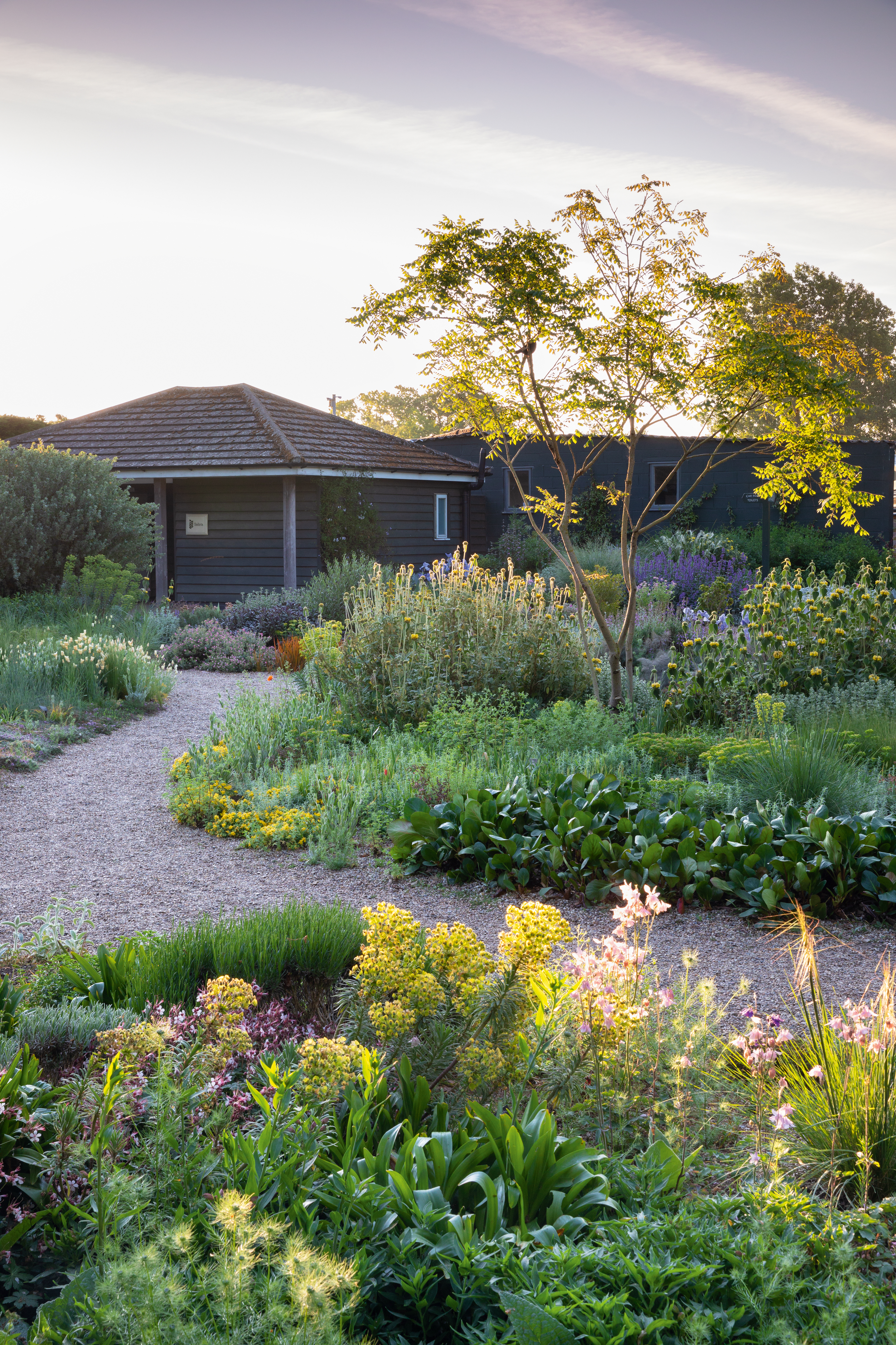 The Gravel Garden at Beth Chatto's Garden in Spring.