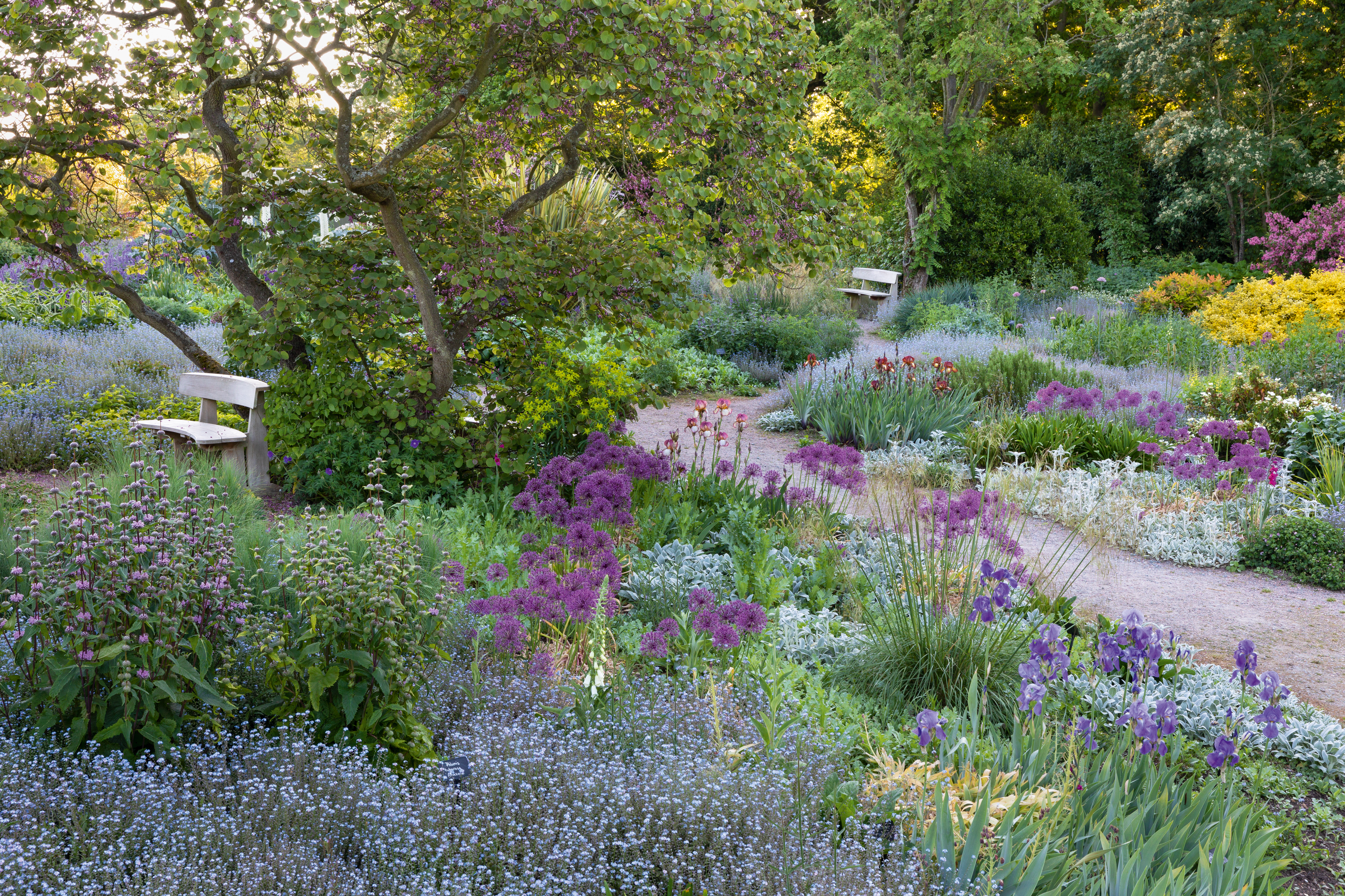The Resevoir Garden at Beth Chatto's Gardens in Spring.