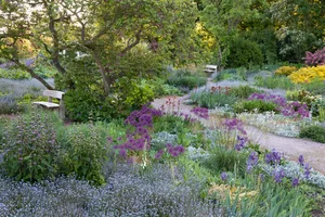 The Resevoir Garden at Beth Chatto's in Spring. The Reservoir Garden at Beth Chatto Gardens in Spring.