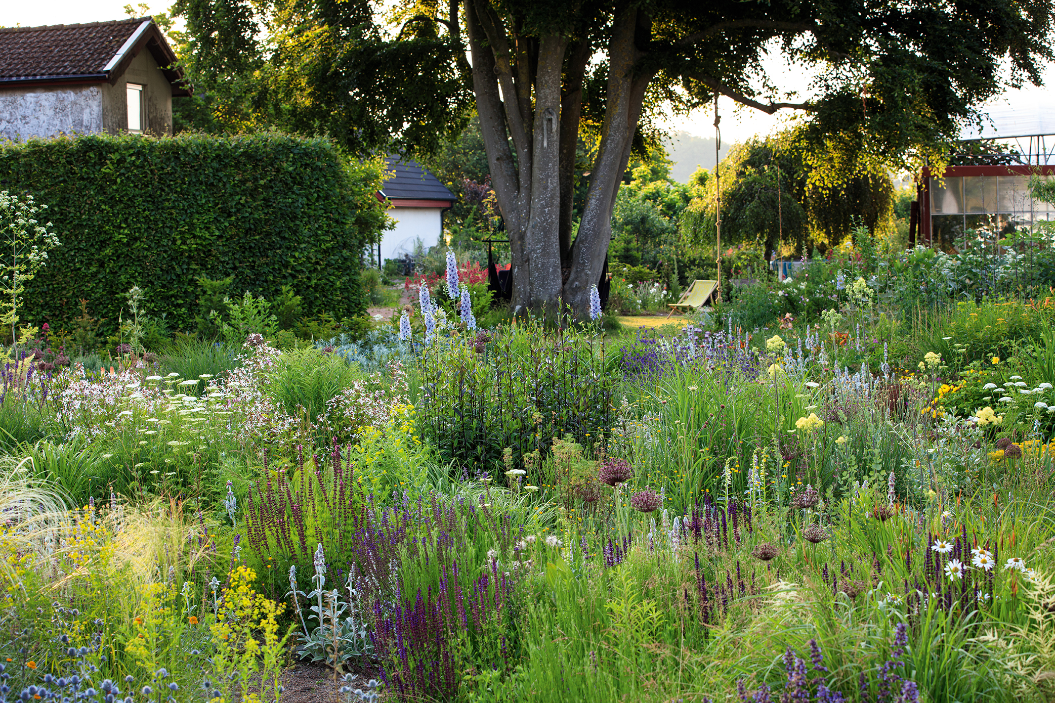 Peter Korn's new experimental garden