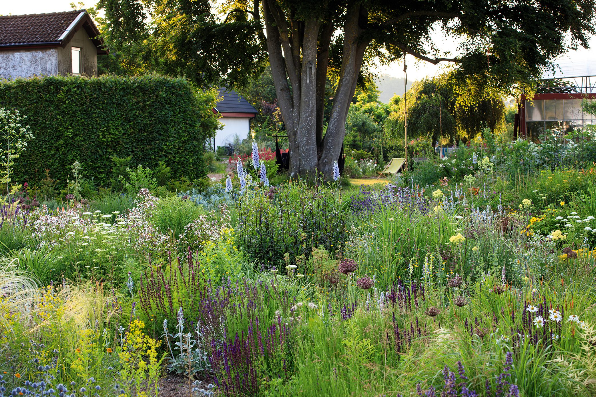 Peter Korn's new experimental garden