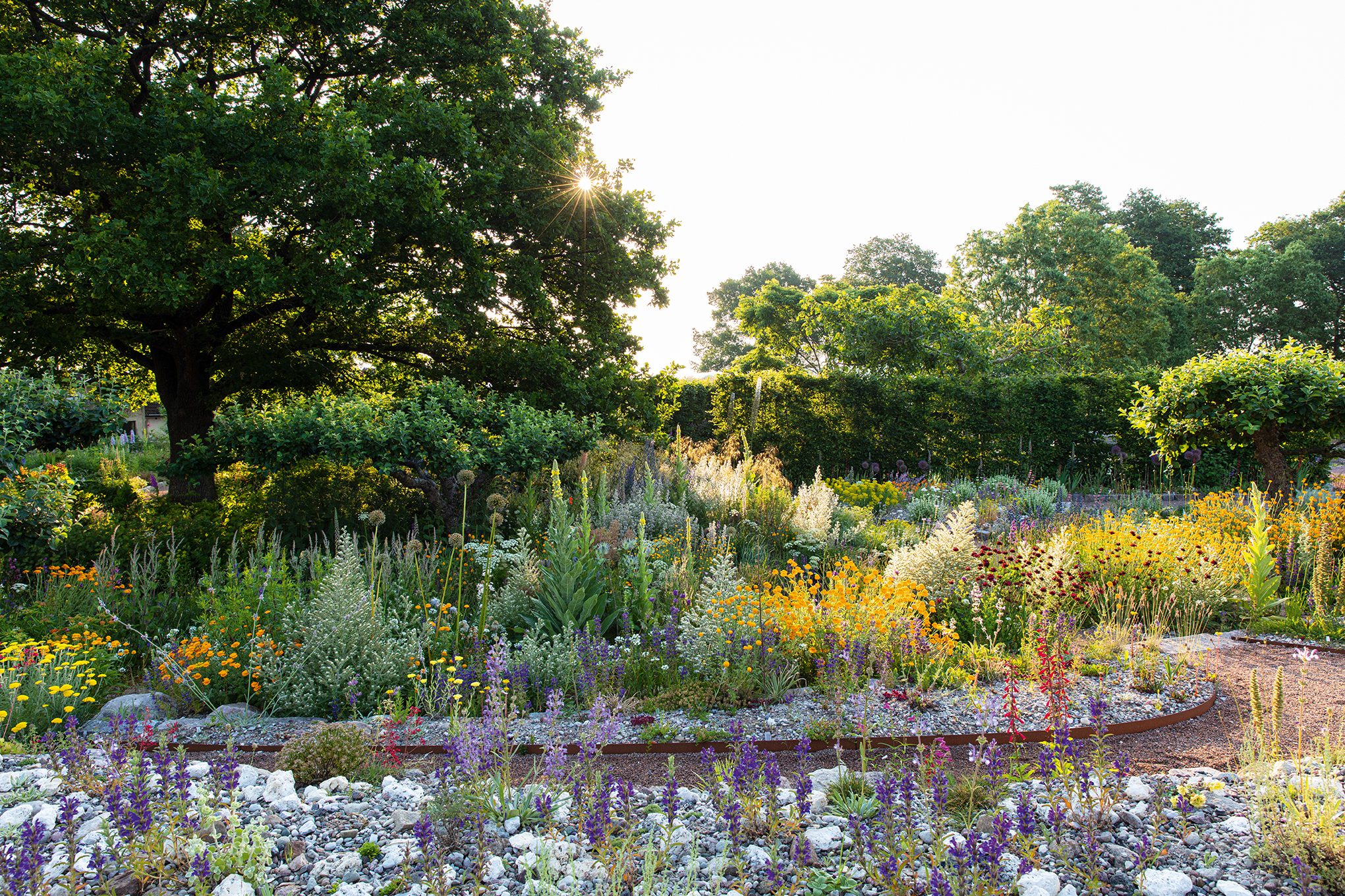Peter Korn's new experimental garden