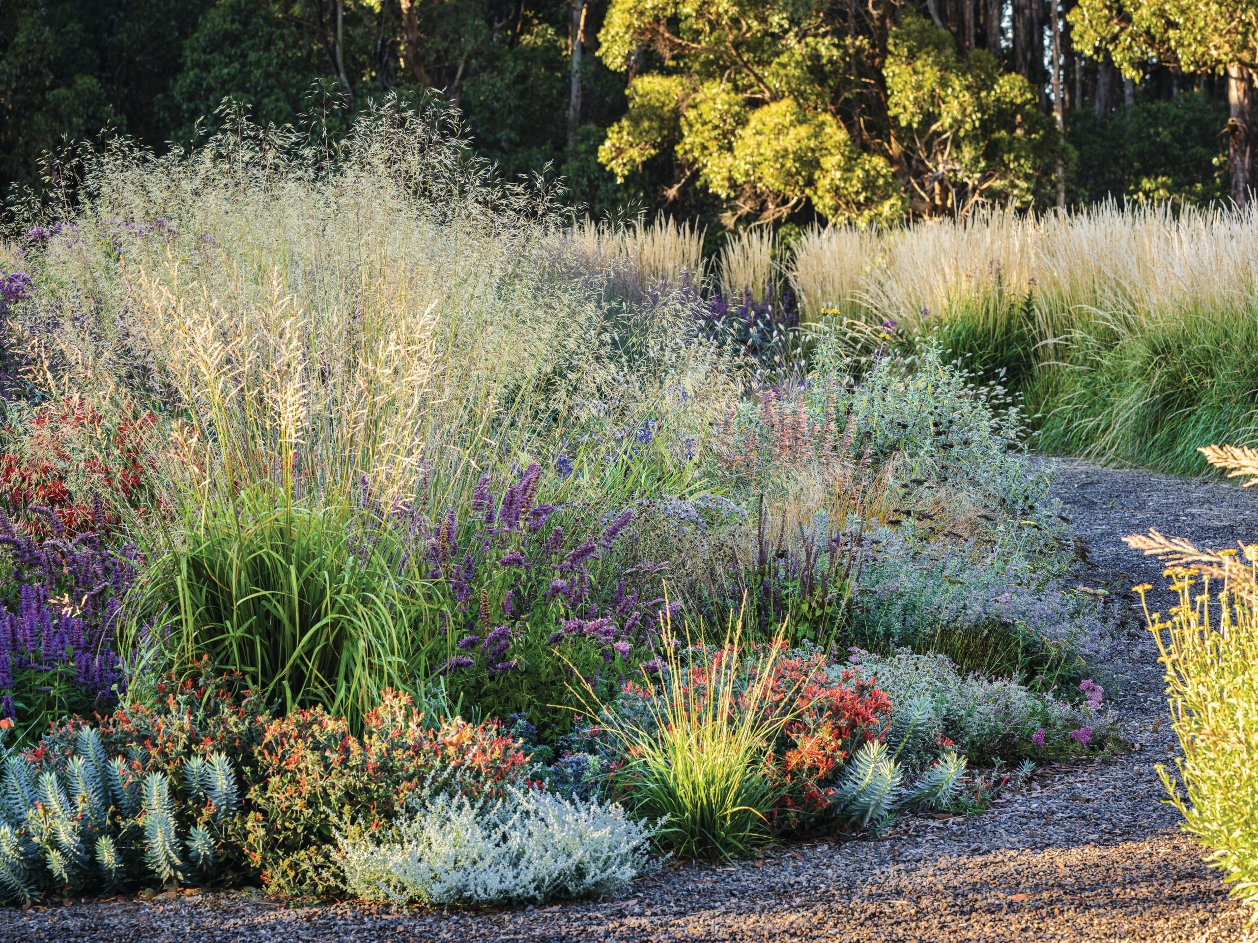 Garden border