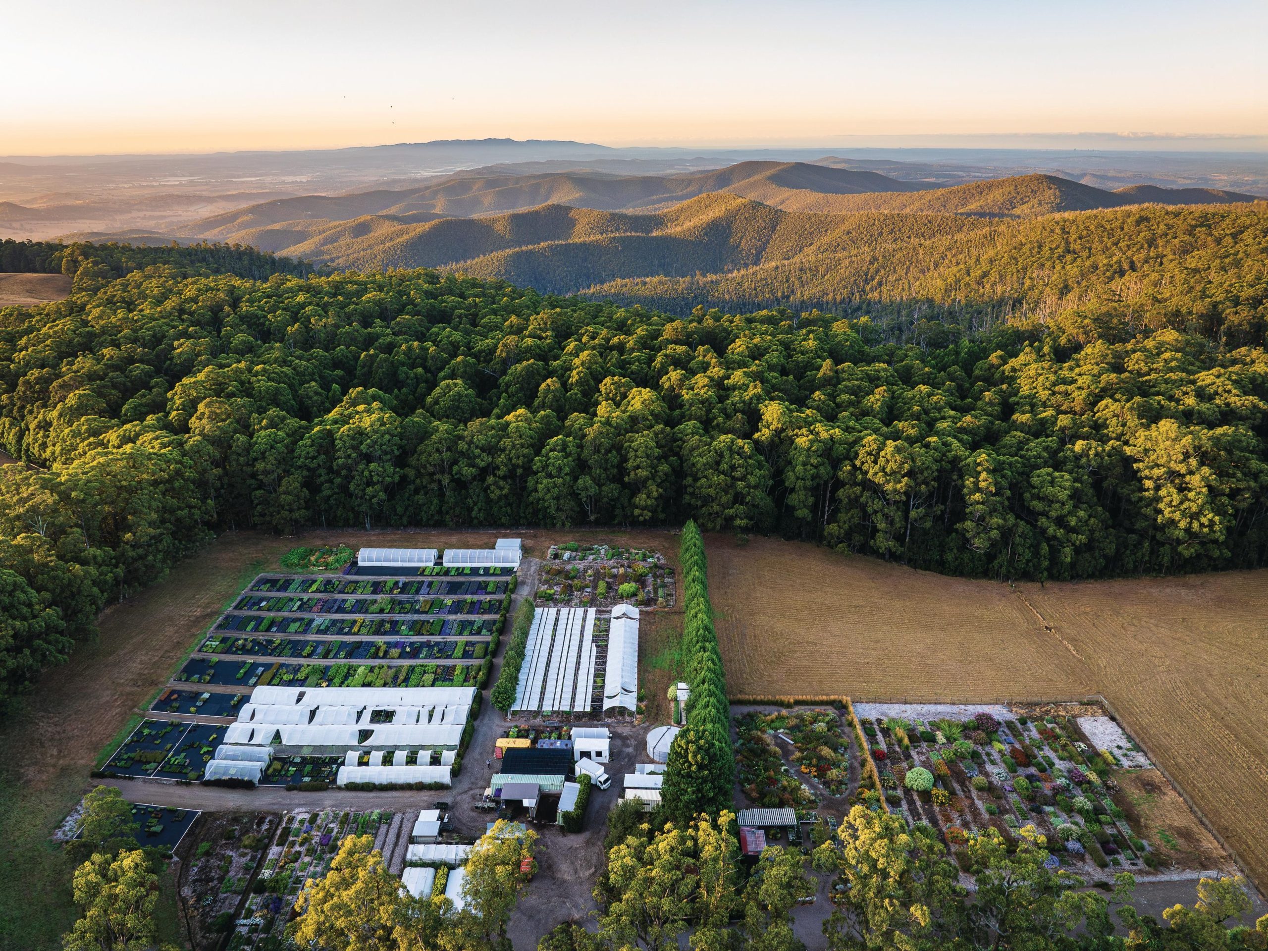aerial view of garden nursery