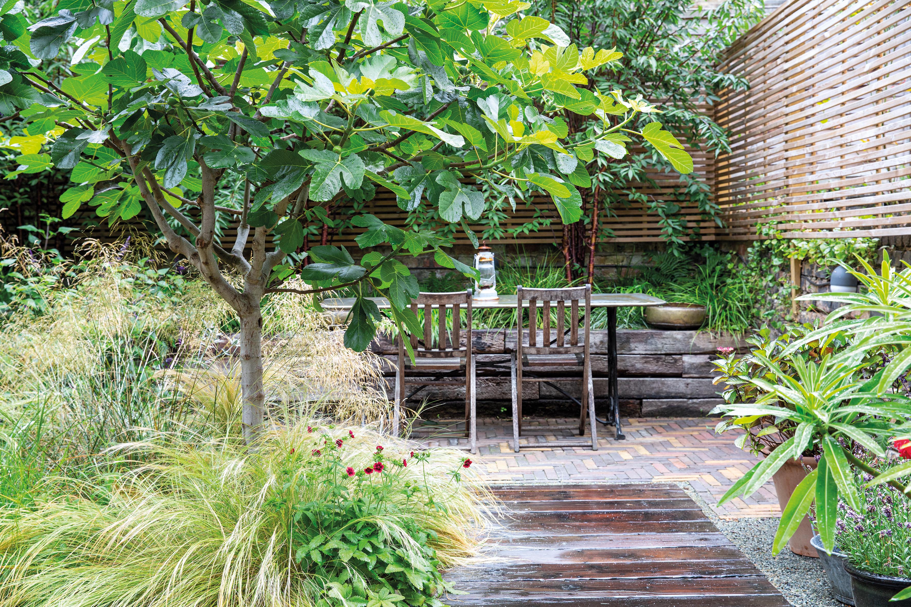 Ula Maria garden in east London
