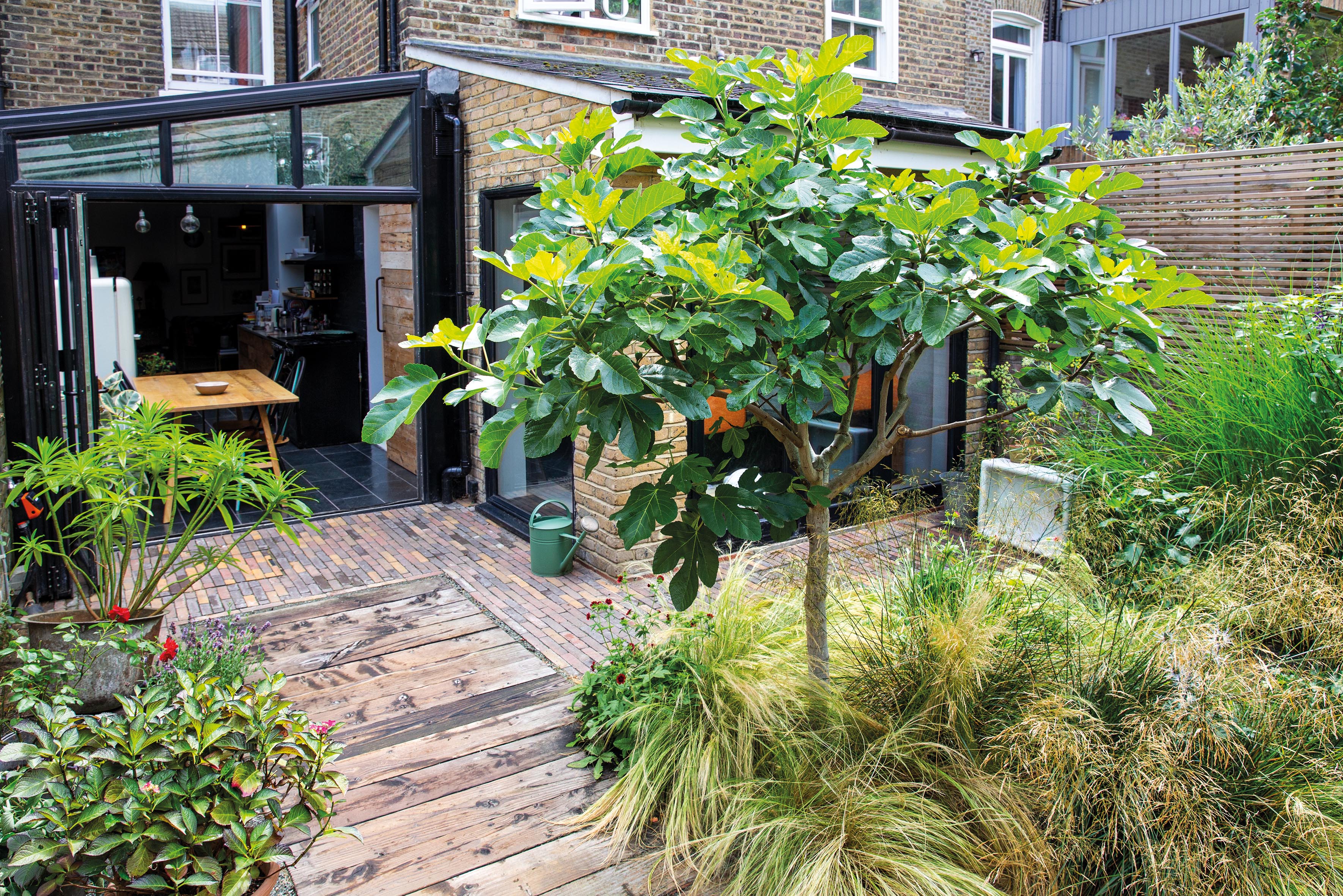 Ula Maria small garden Stoke Newington