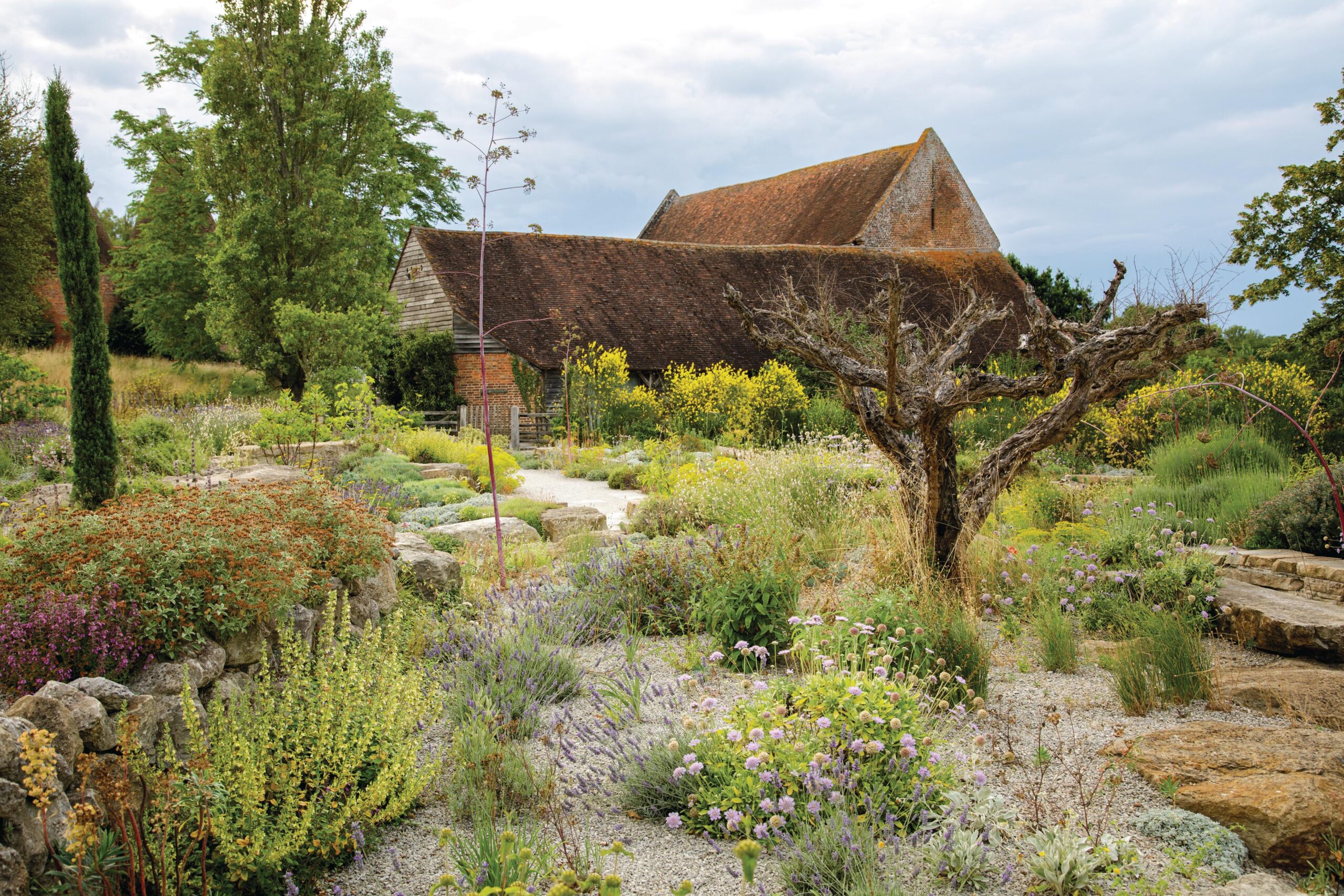 In the Greek island-inspired Delos garden, Cupressus sempervirens Stricta Group adds a vertical line, loved by Vita and Harold, echoed in the soaring poplar behind. Spartium junceum, or Spanish broom, is a quick growing nurse crop in the garden’s Mediterranean hedge, offering scented yellow blooms and narrow upright foliage.