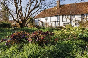 Elizabeth Strangman's garden in East Sussex Elizabeth Strangman's garden in East Sussex
