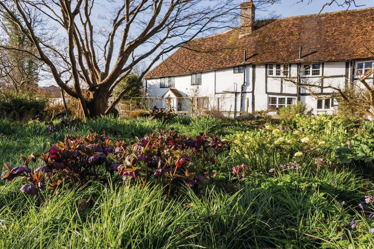Elizabeth Strangman's garden in East Sussex Elizabeth Strangman's garden in East Sussex