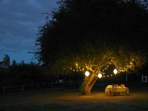 Table in yard illuminated by lanterns hanging on tree Fairy lights in the garden © Getty / Ryan McVay