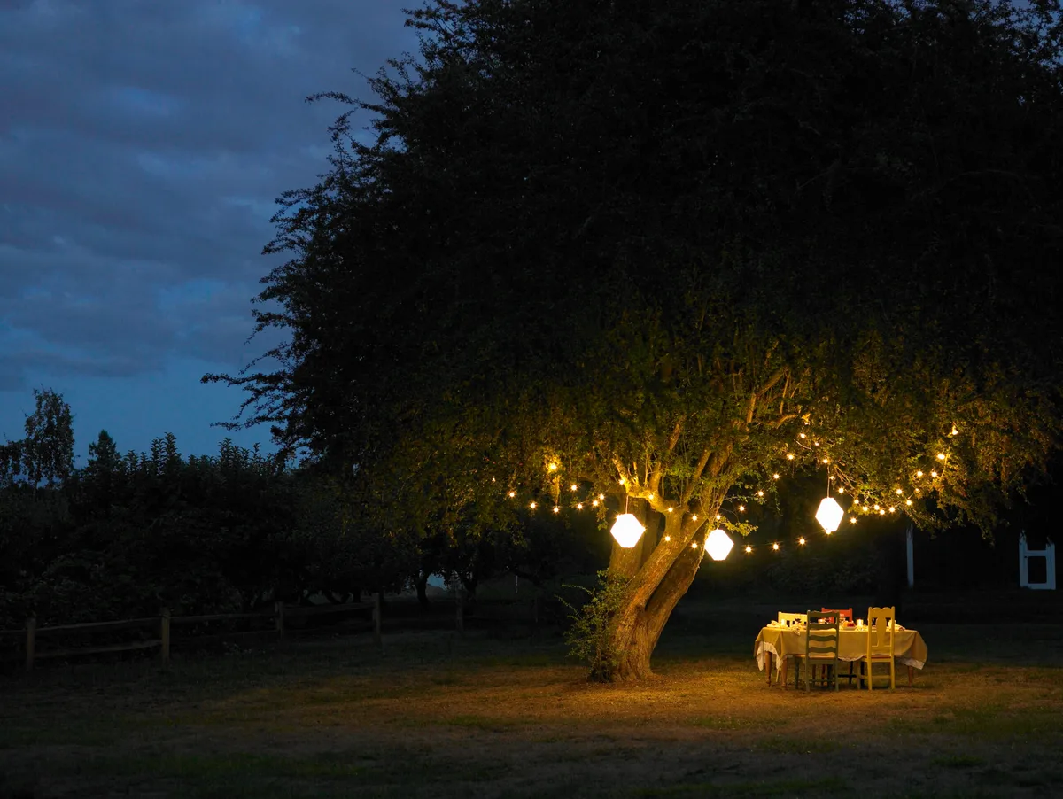 Table in yard illuminated by lanterns hanging on tree Fairy lights in the garden © Getty / Ryan McVay