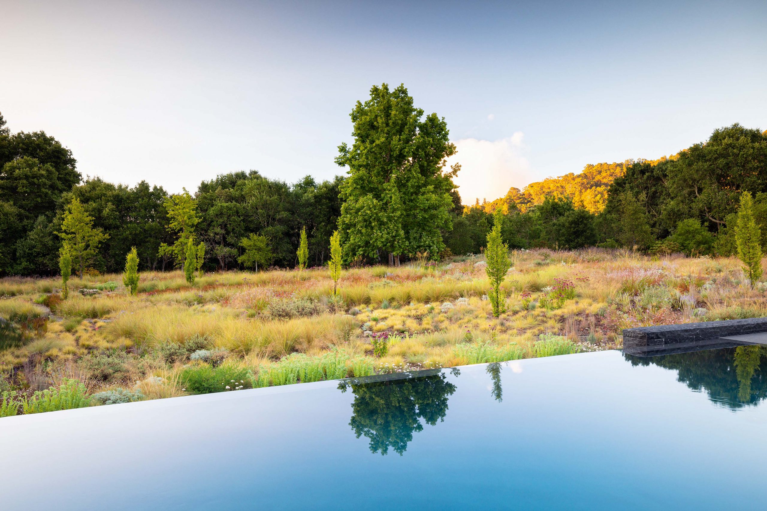 Private Woodside garden designed by Surface Design Inc in California