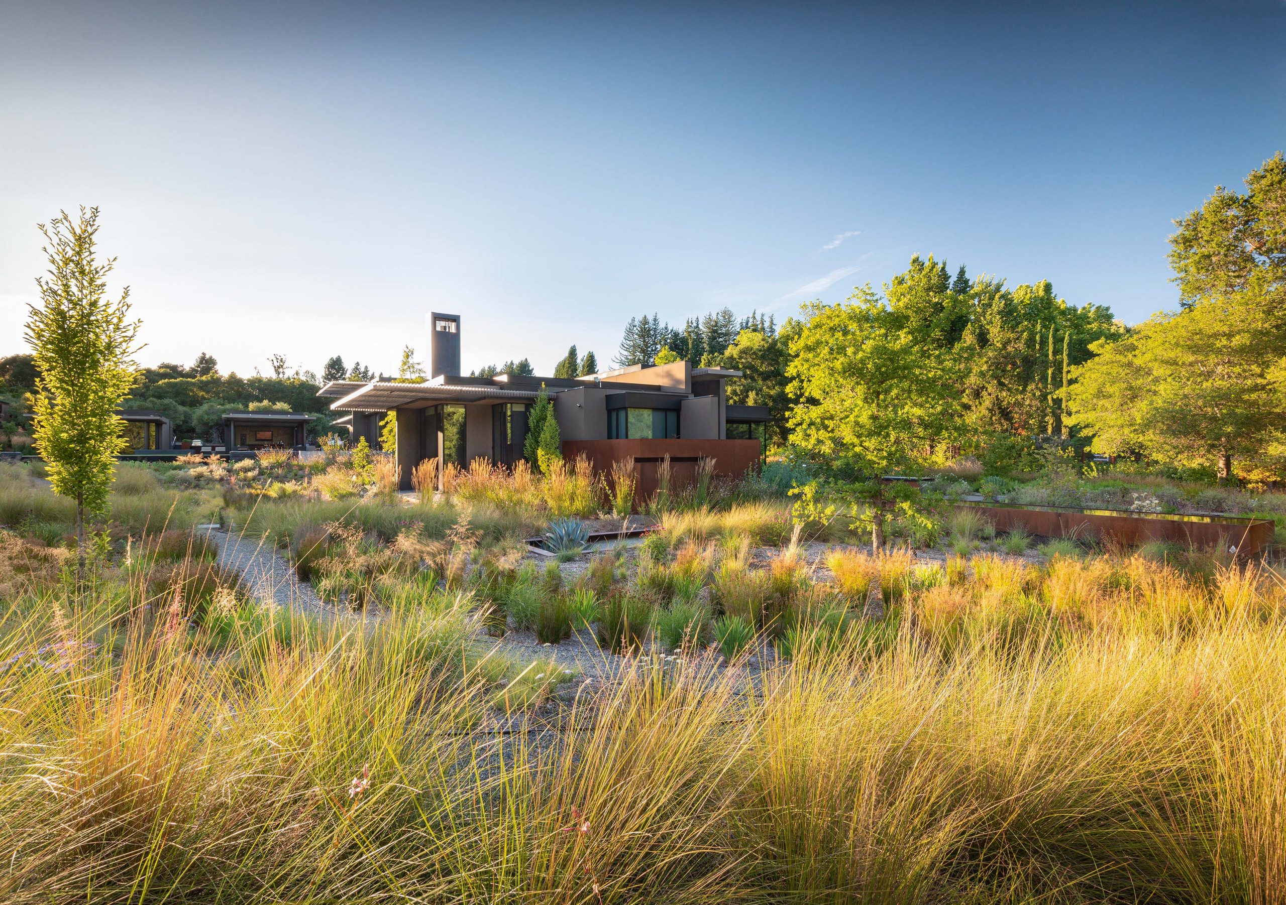 Private Woodside garden designed by Surface Design Inc. California, USA.
